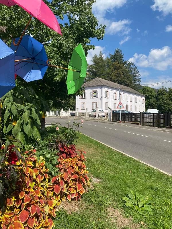 Vente Appartement Masevaux-Niederbruck