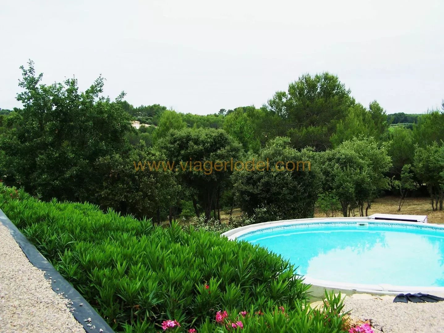 Ref. 9448 SINGLE PAYMENT ANNUITY, LES ARCS SUR ARGENS (83)