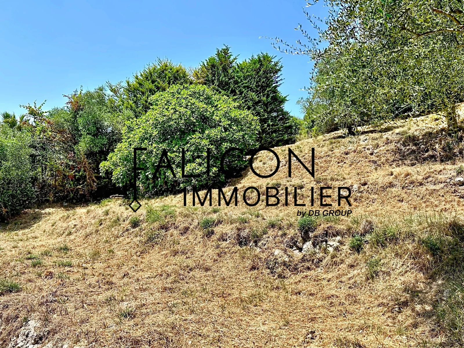 Agence immobilière de Deulio David