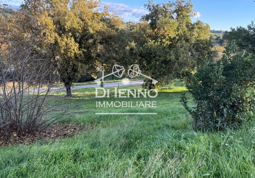 Vendita Terreno agricolo Morlupo