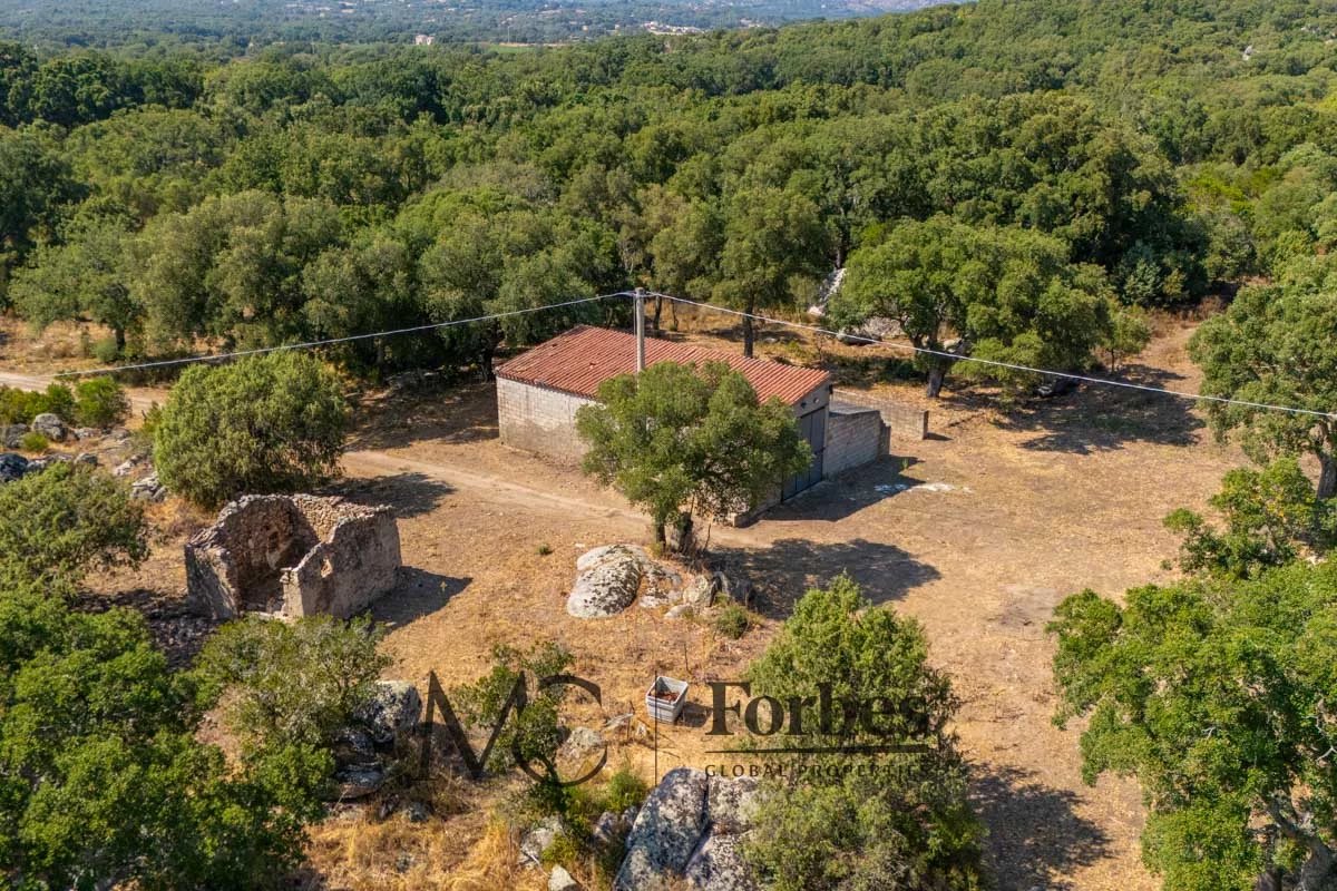 Apartment in Calangianus - Image 2