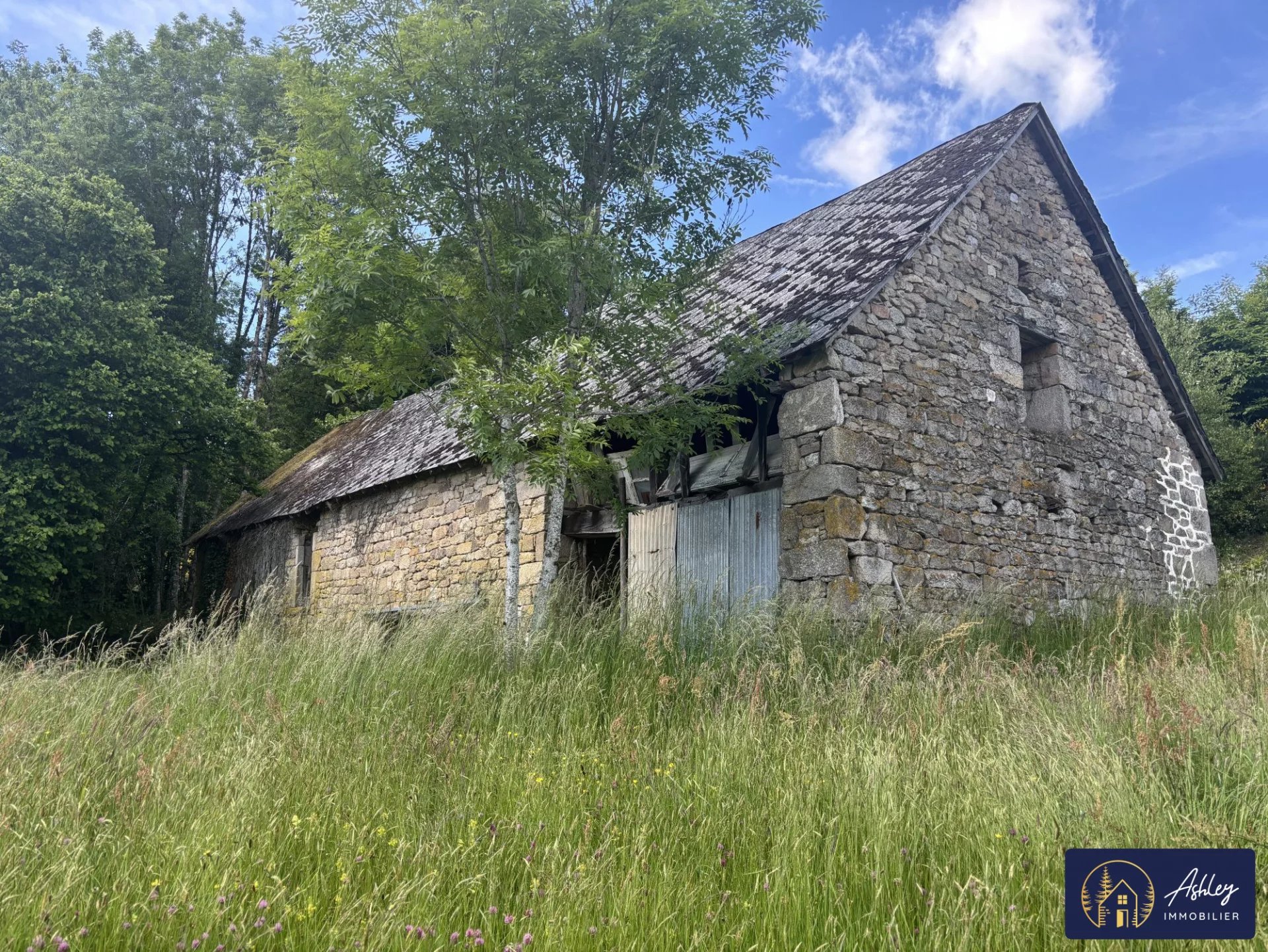 Vente Maison Davignac