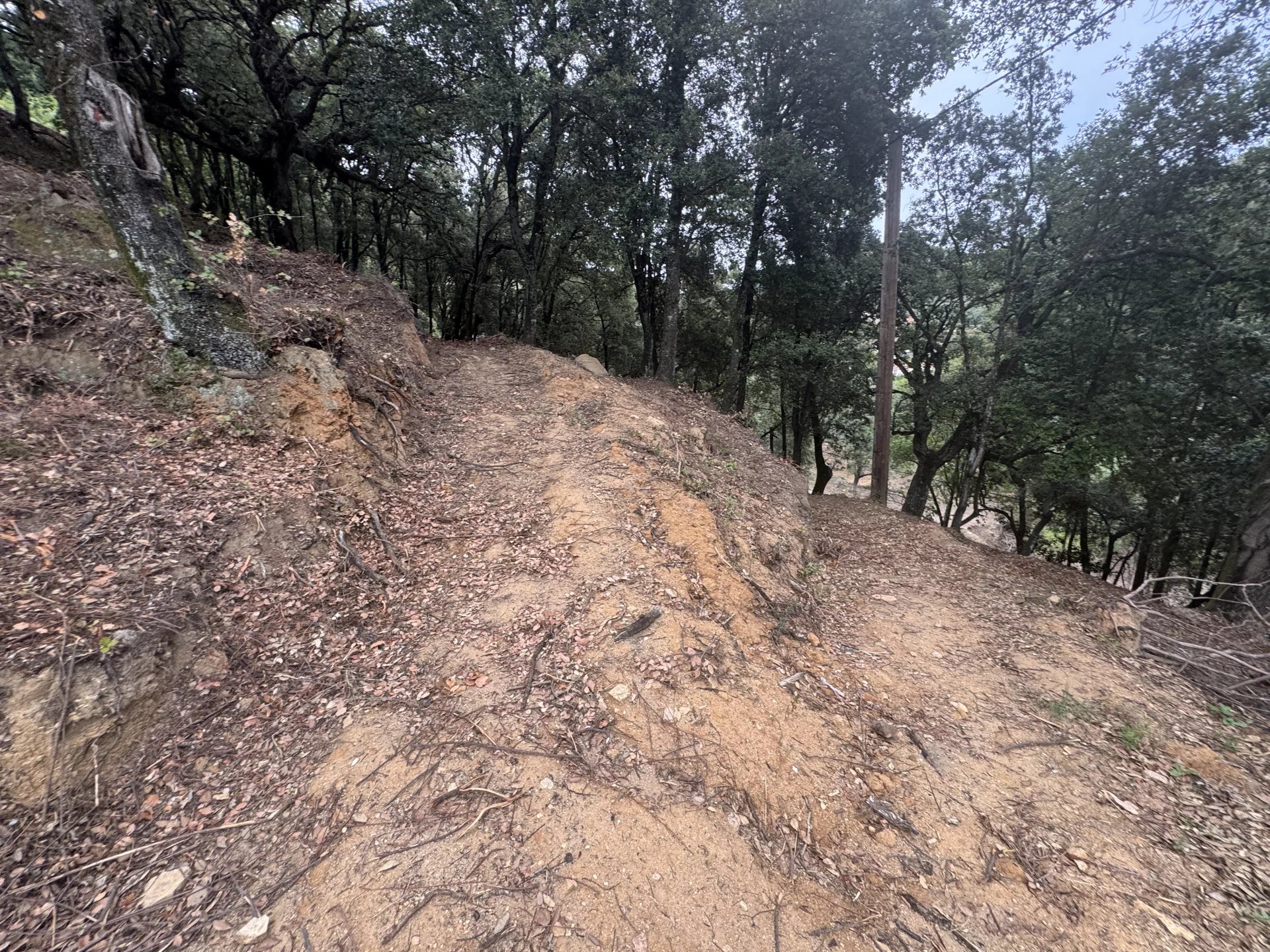 Vente Terrain constructible Valle-di-Mezzana