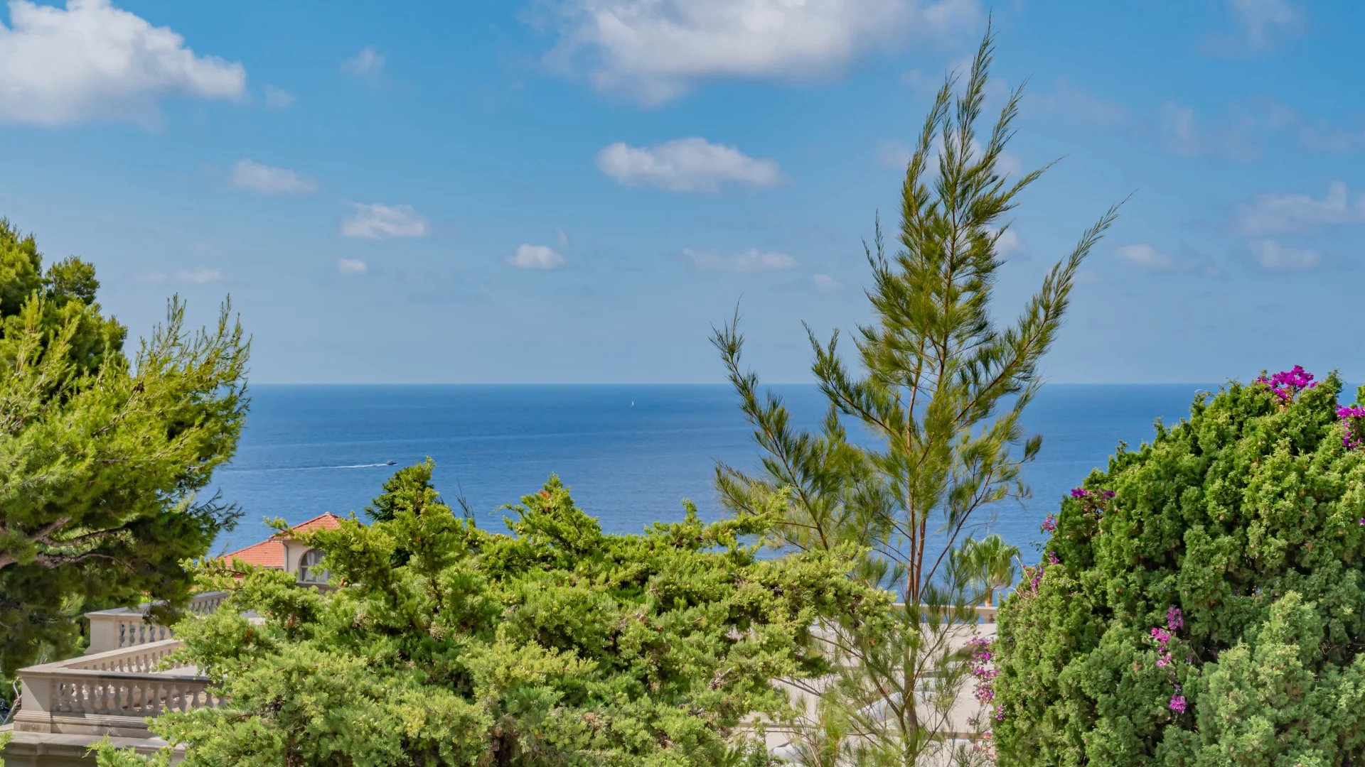 Sale Property Cap-d'Ail