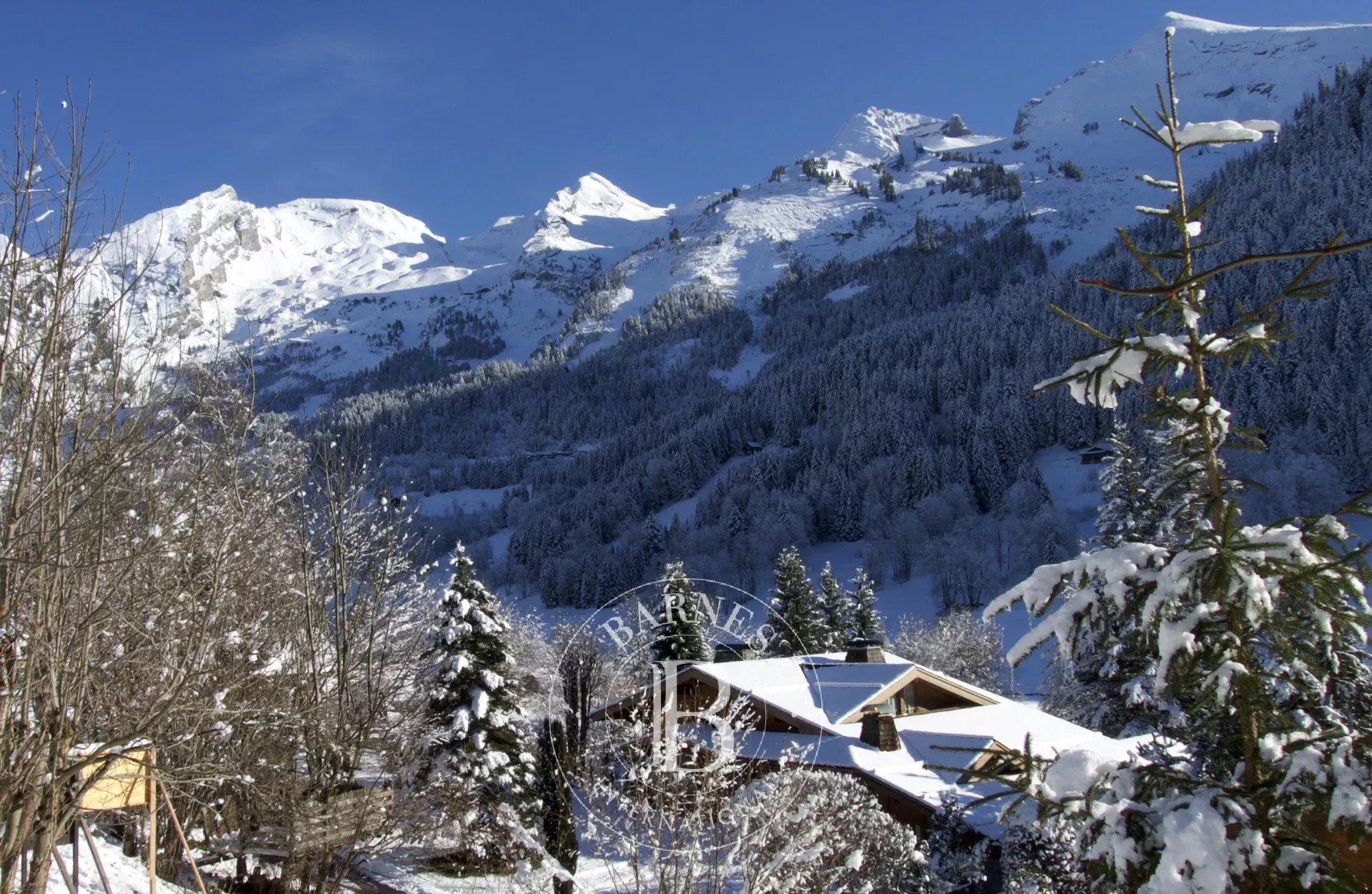 Terrain constructible La Clusaz  -  ref 85310154 (picture 2)