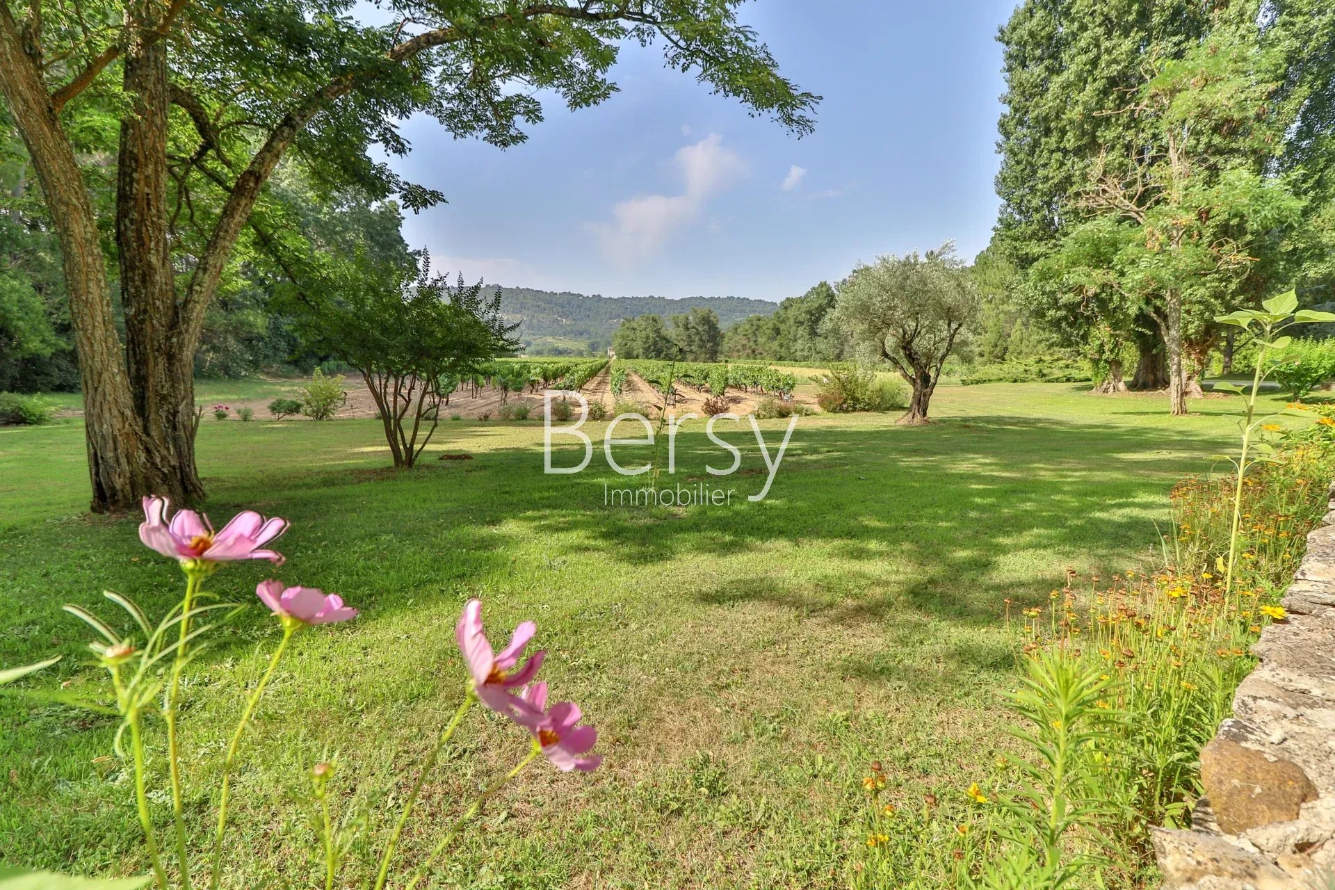 ★Magnifique Bastide sur un Parc de 2 Hectares★ Entouré de Vignes et Jardins Paysagers avec Piscine★ Garage et Appartement indépendant★ - Photo 4