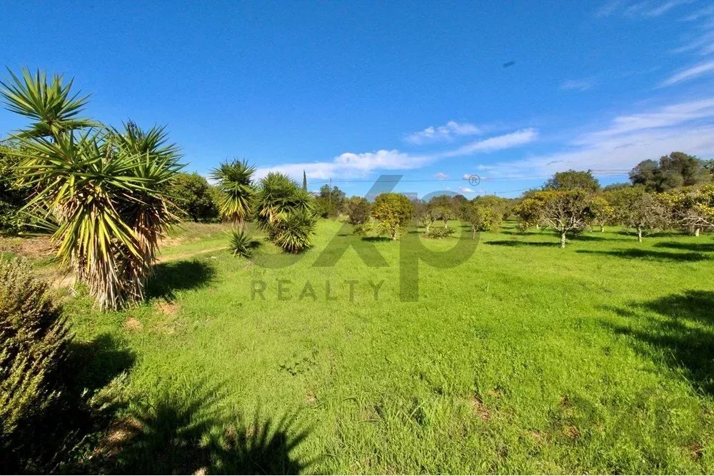 Charming Countryside Gem Near Fuseta 85948757 image 31