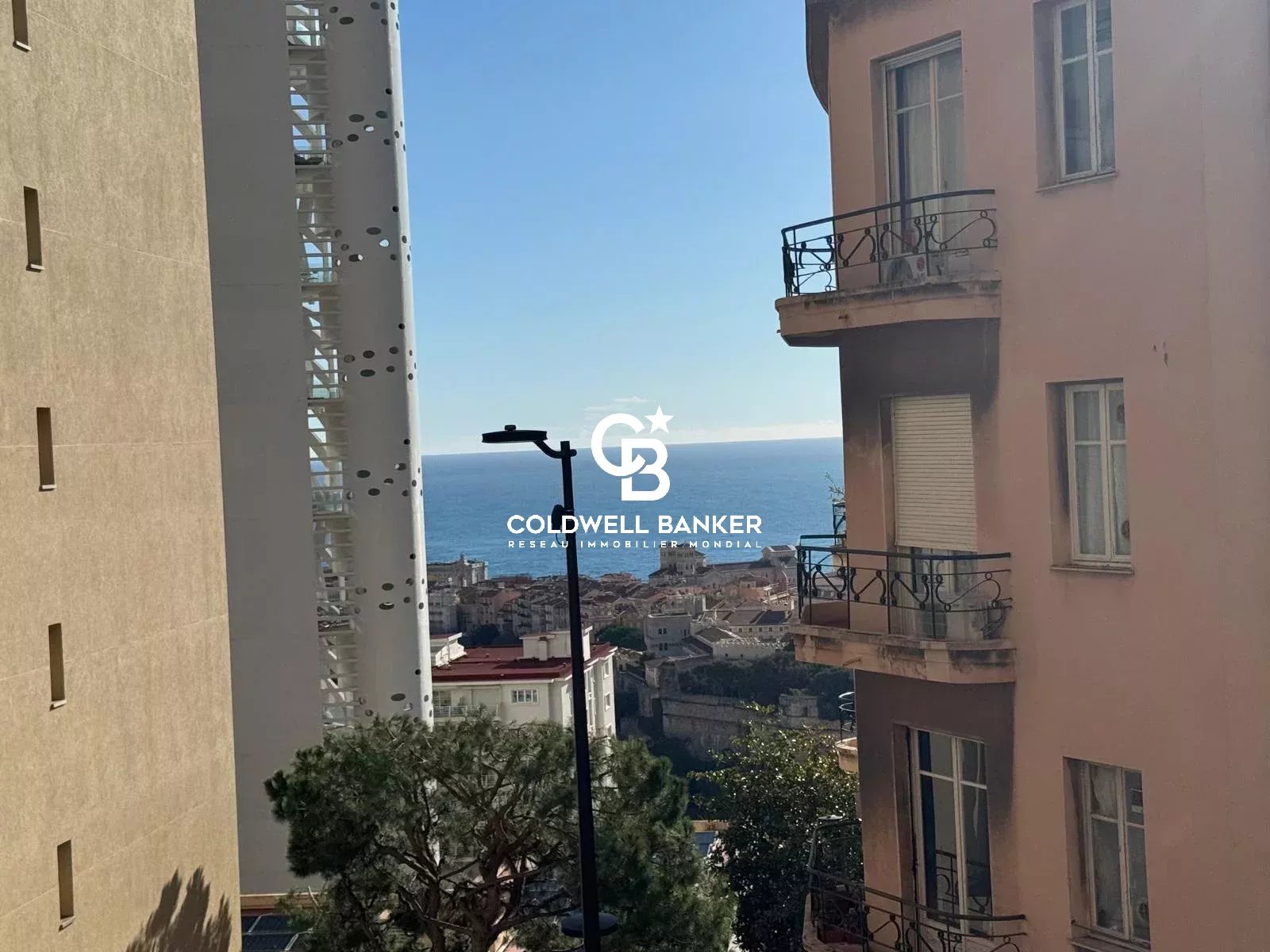 JARDIN EXOTIQUE / 4 PIECES / RENOVE