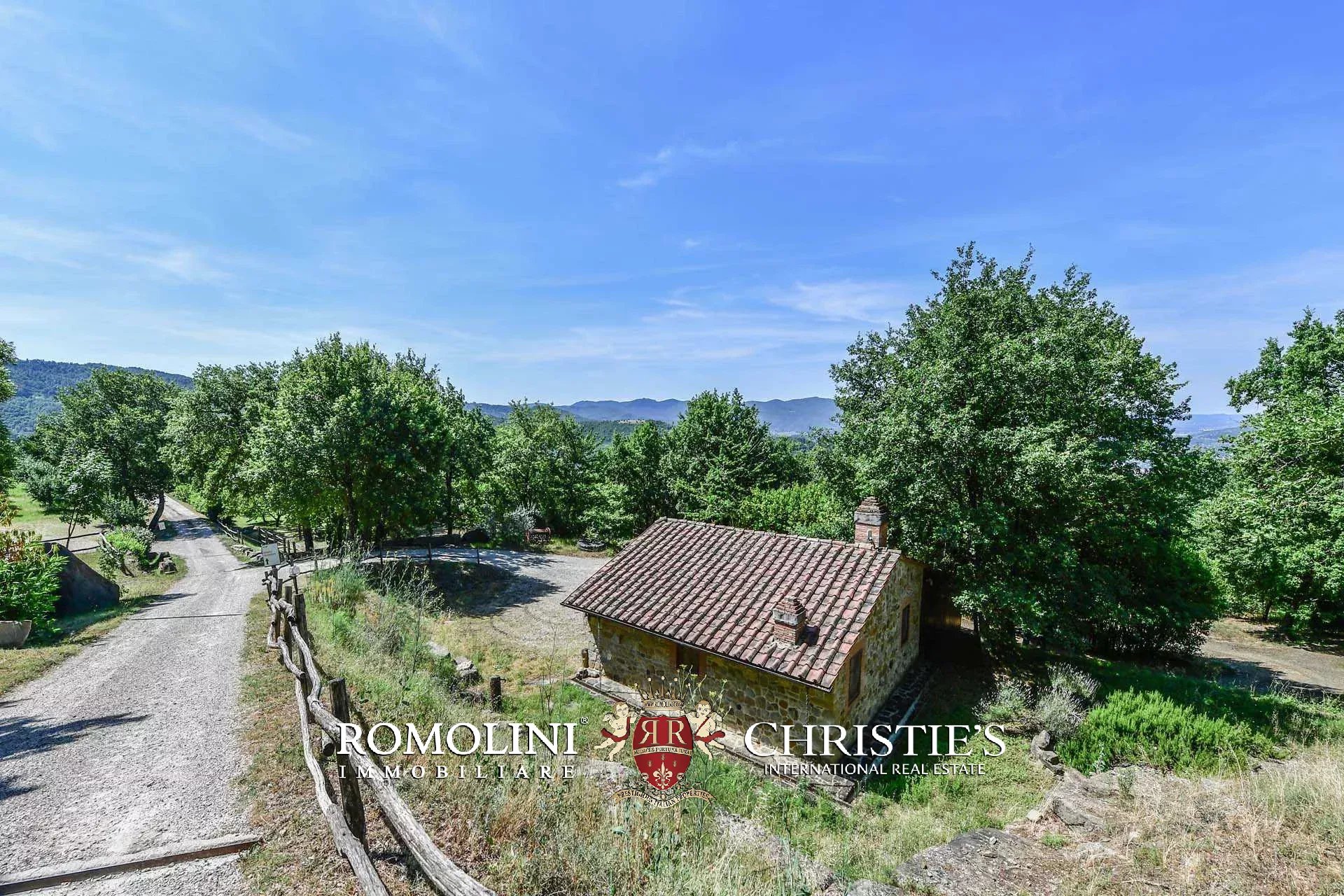TENUTA VINICOLA BIOLOGICA IN VENDITA, CANTINA BIO TOSCANA
