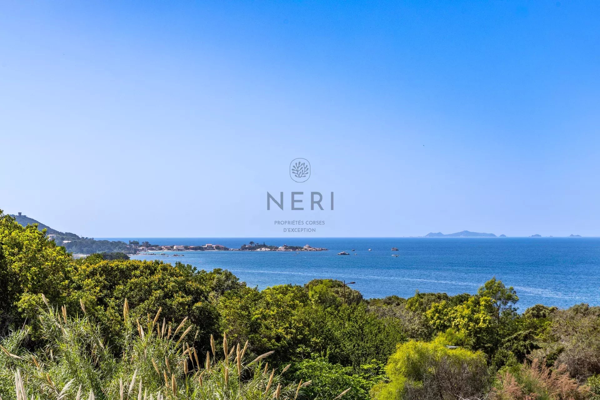 À proximité immédiate de la plage,