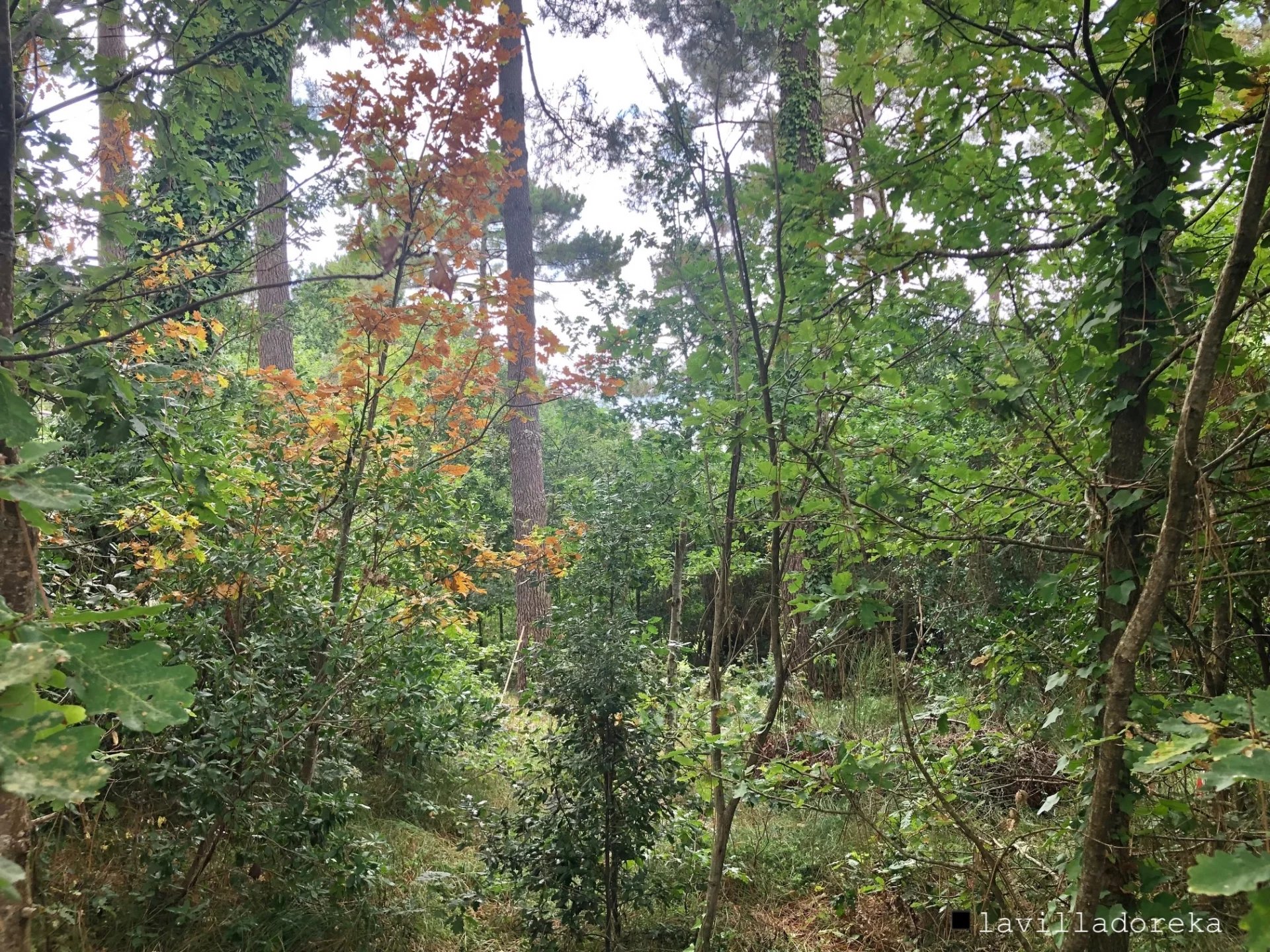 Terrain à bâtir clôturé, paysagé et arboré de 600m2