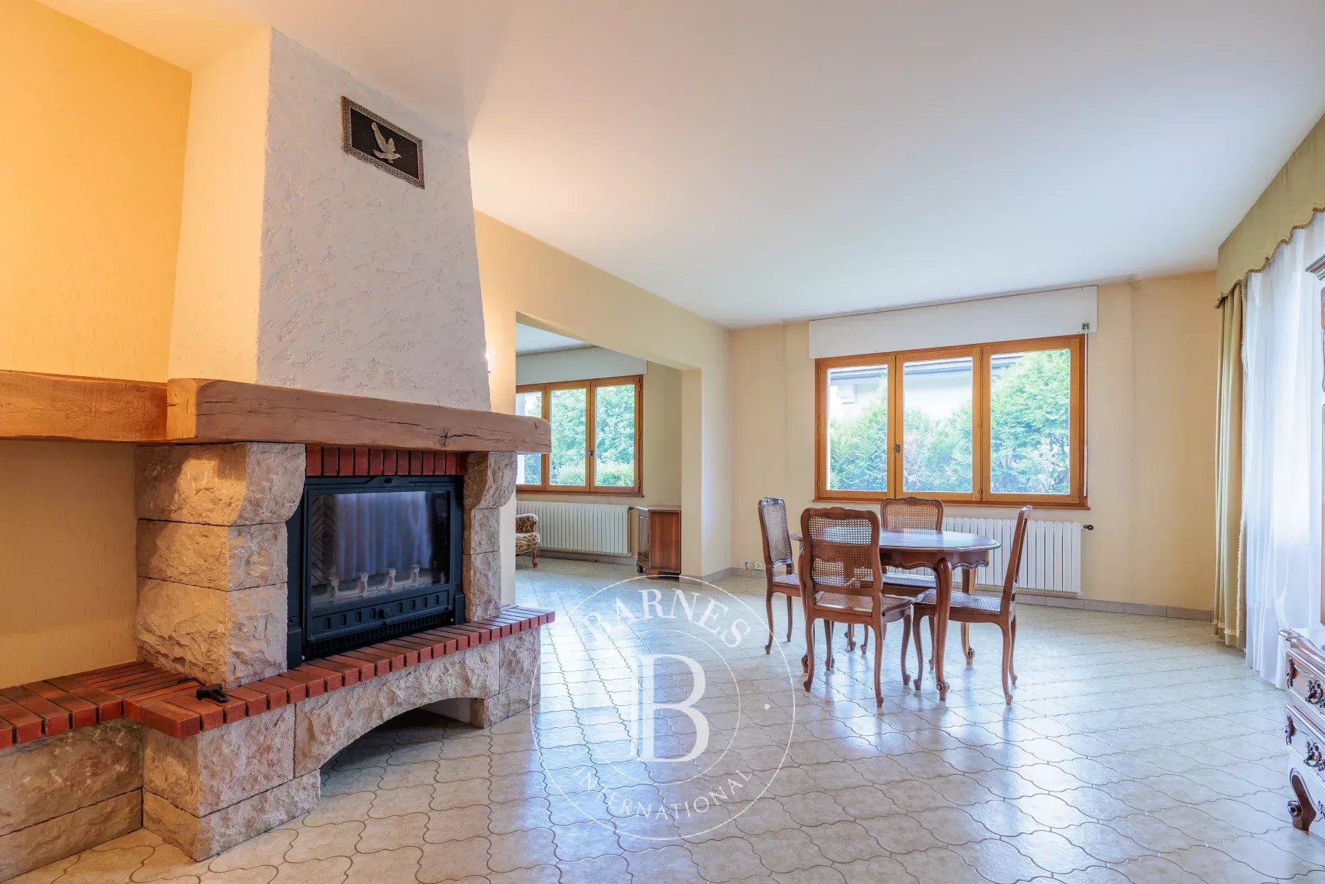 Ev Annecy - picture 6