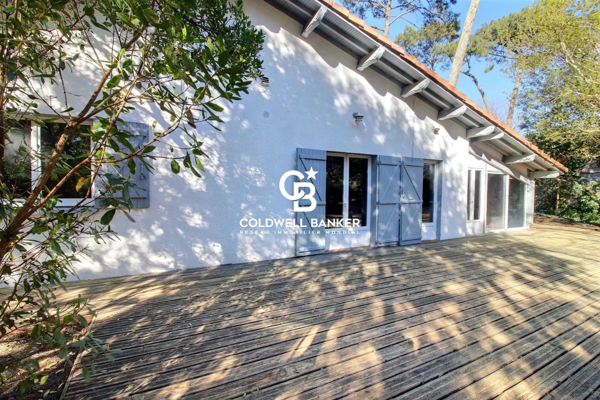 Agence immobilière de Silver Coast Int. Realty