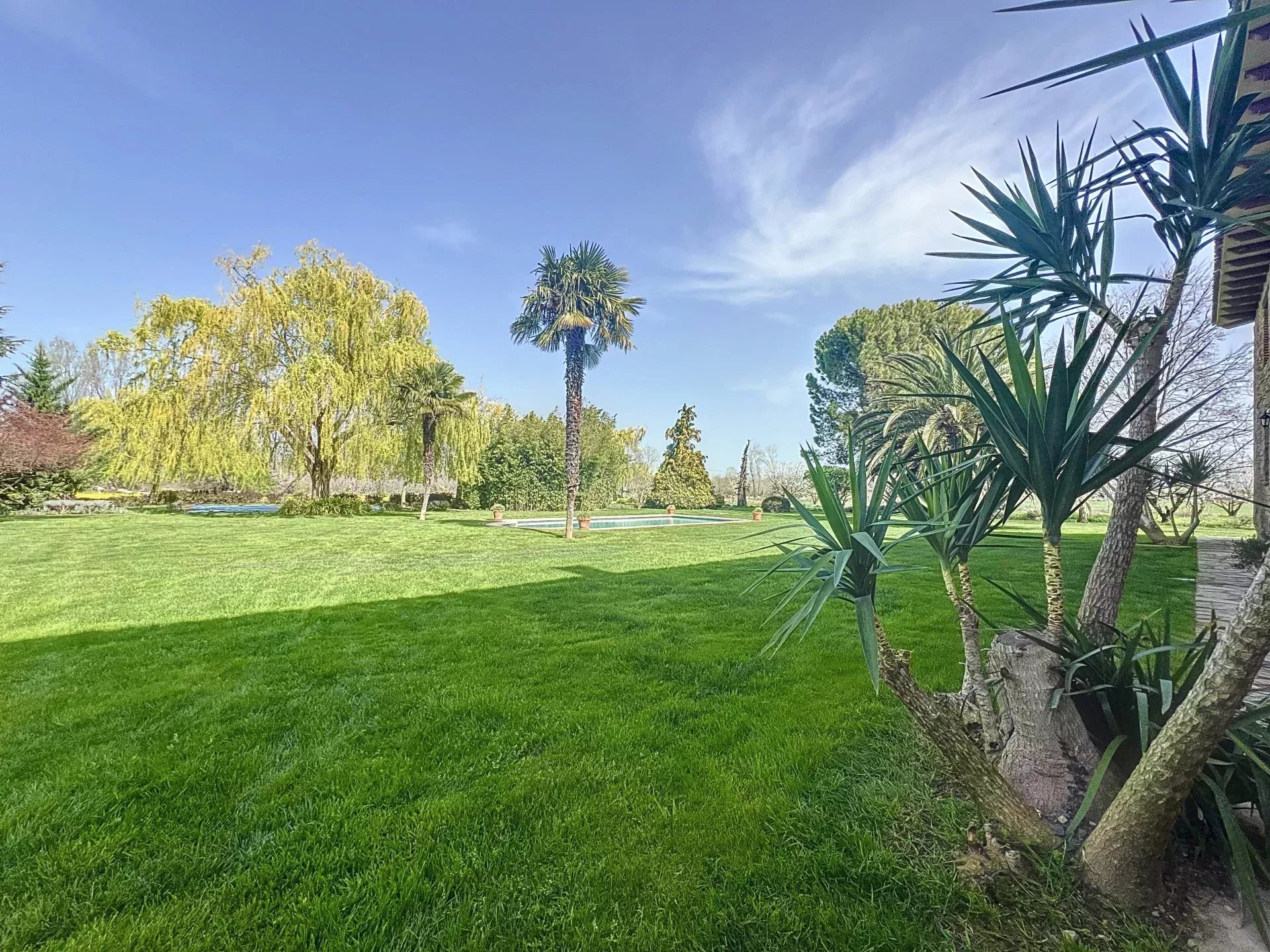 Mülkiyet Logroño - picture 8