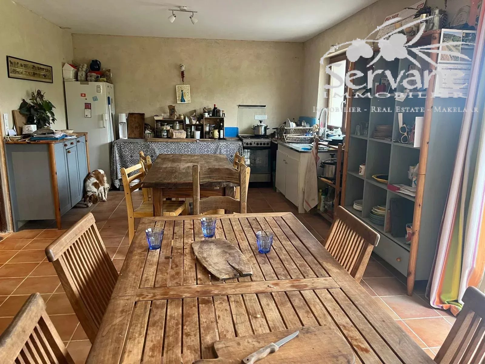 VINEYARD IN PROVENCE CLOSE TO COTIGNAC TO SELL
