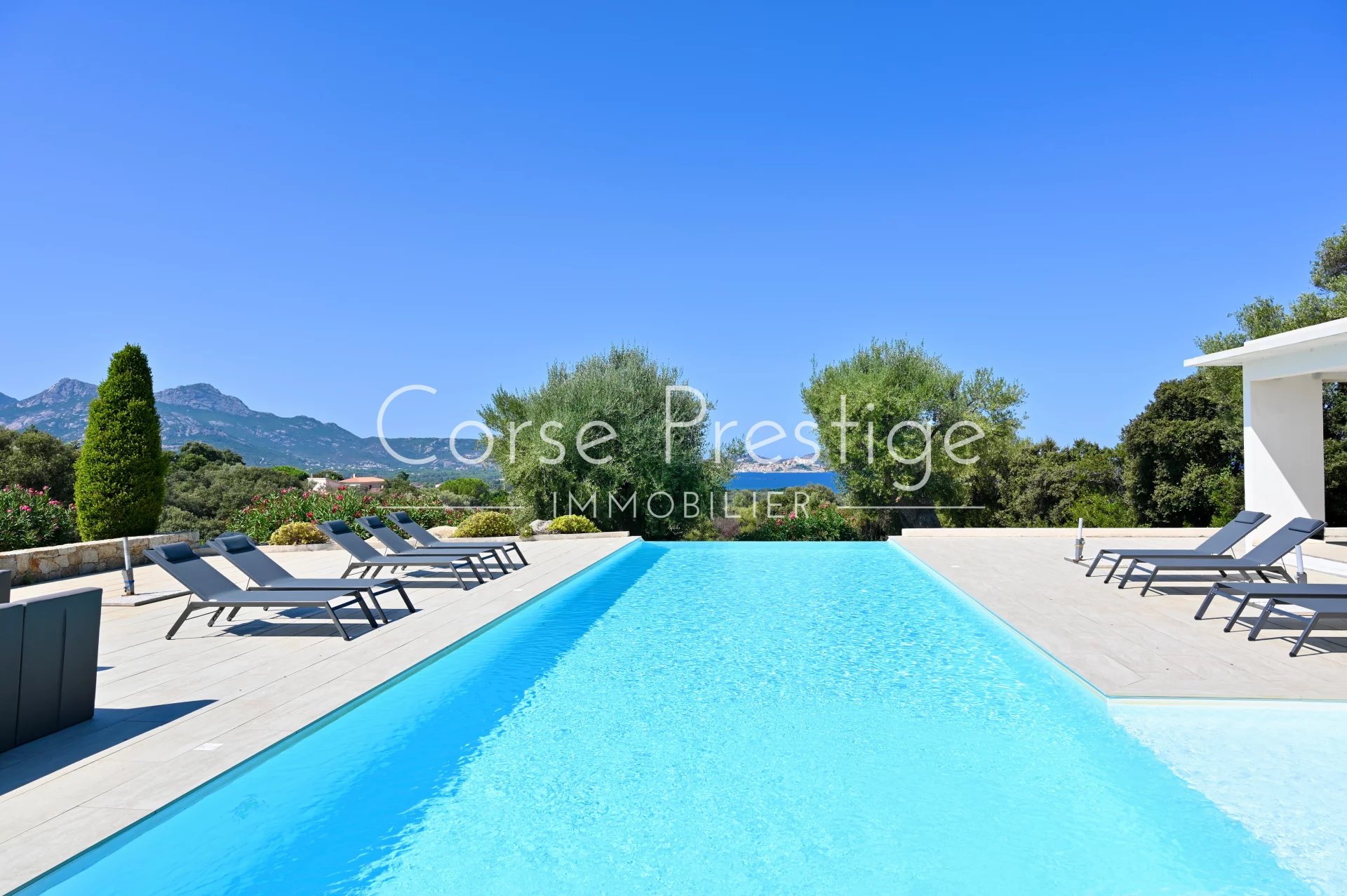 a vendre - villa avec piscine - lumio - haute corse image1