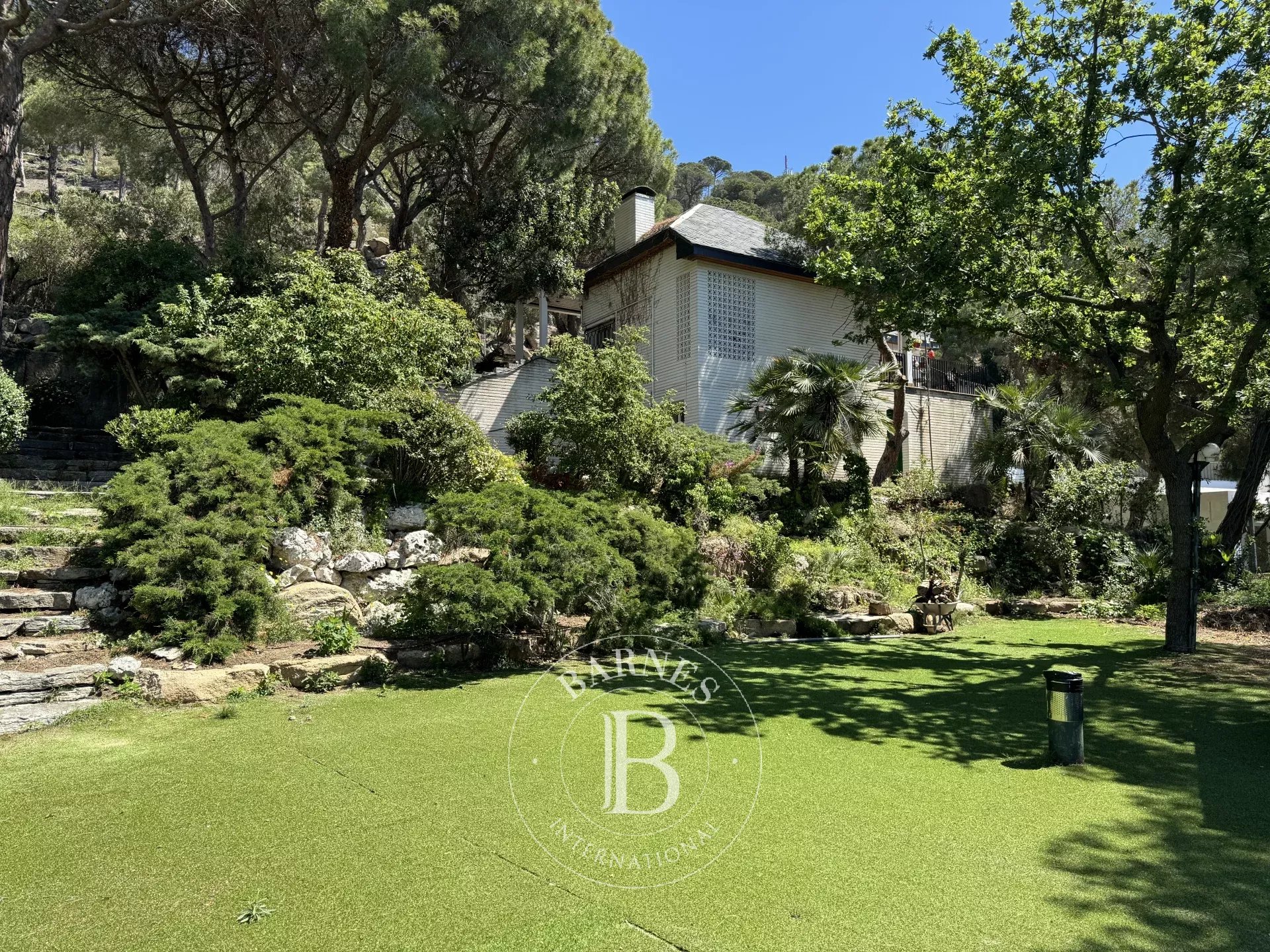 Ev Cabrils - picture 14