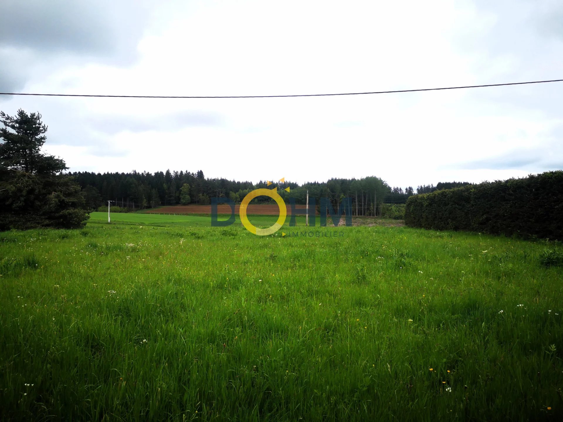 Vente Terrain Félines
