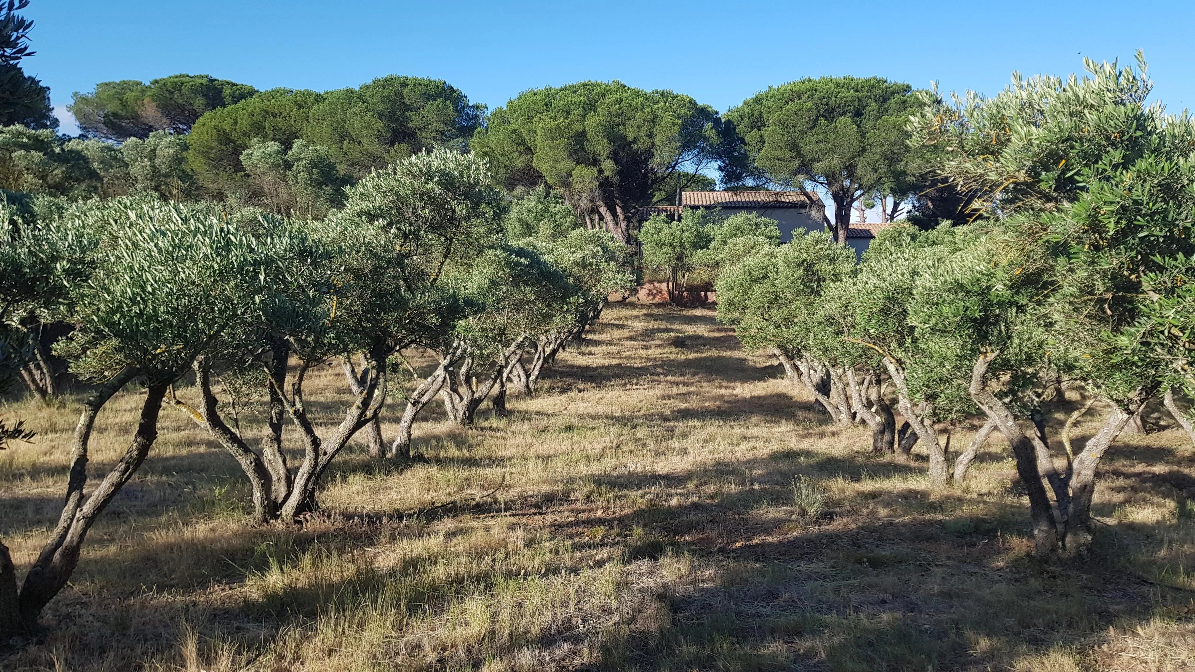 Propriété à vendre Bizanet, Aude