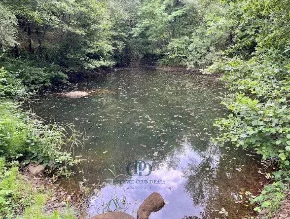 Malikane Valganna - picture 27