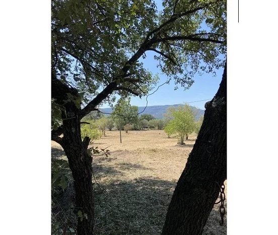 Agence immobilière de REVE PROVENCAL IMMOBILIER