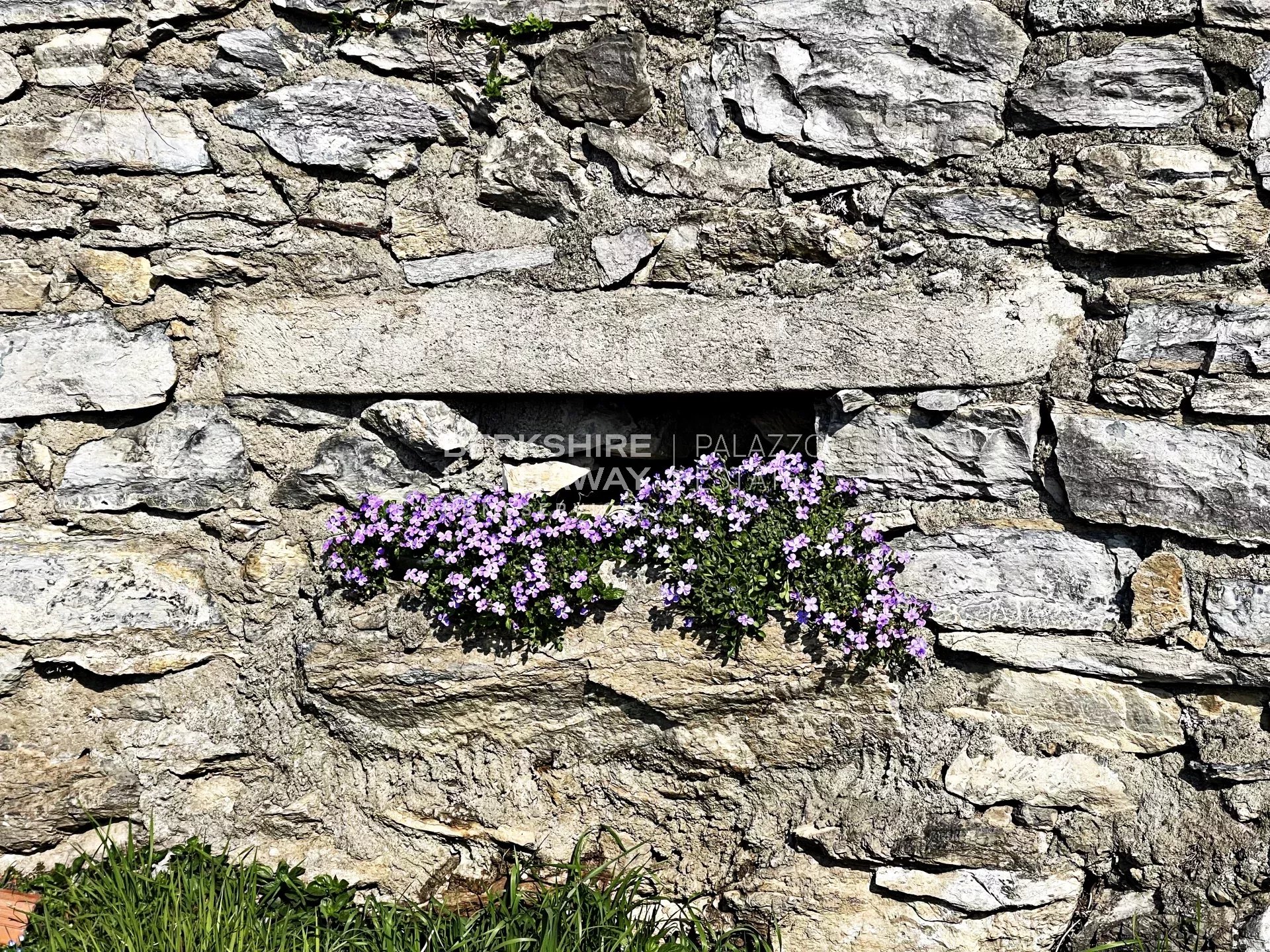 Villa in Cernobbio - Image 3