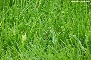 Agence immobilière de AGENCE DES 3 RIVIERES