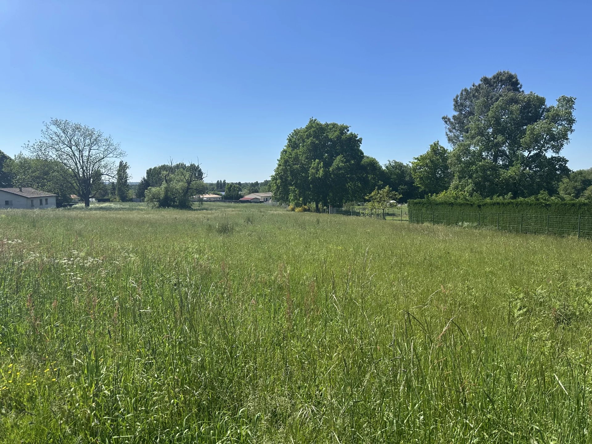 Agence immobilière de ROSER BEATRICE