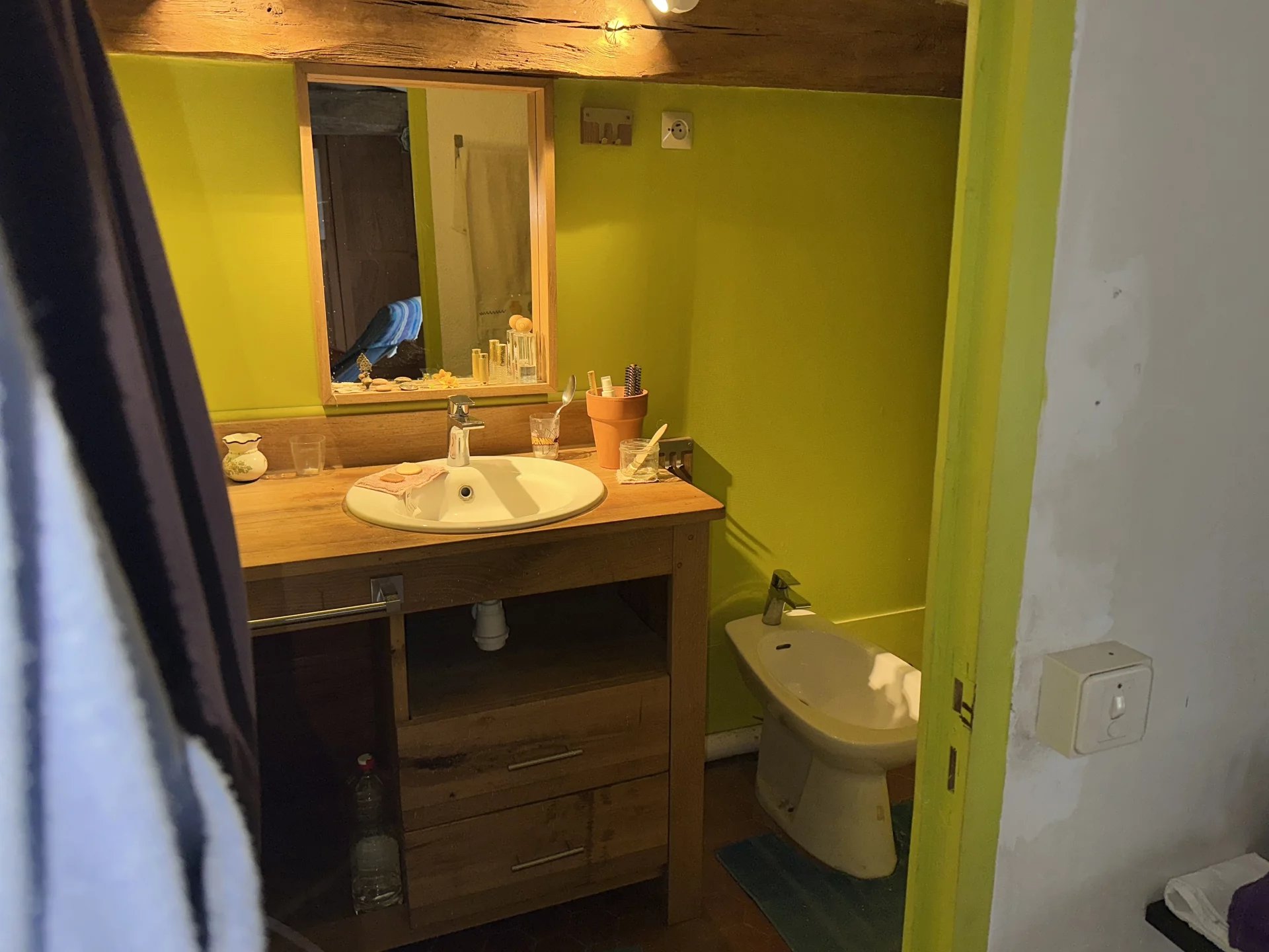 Vente Propriété Sommières-du-Clain