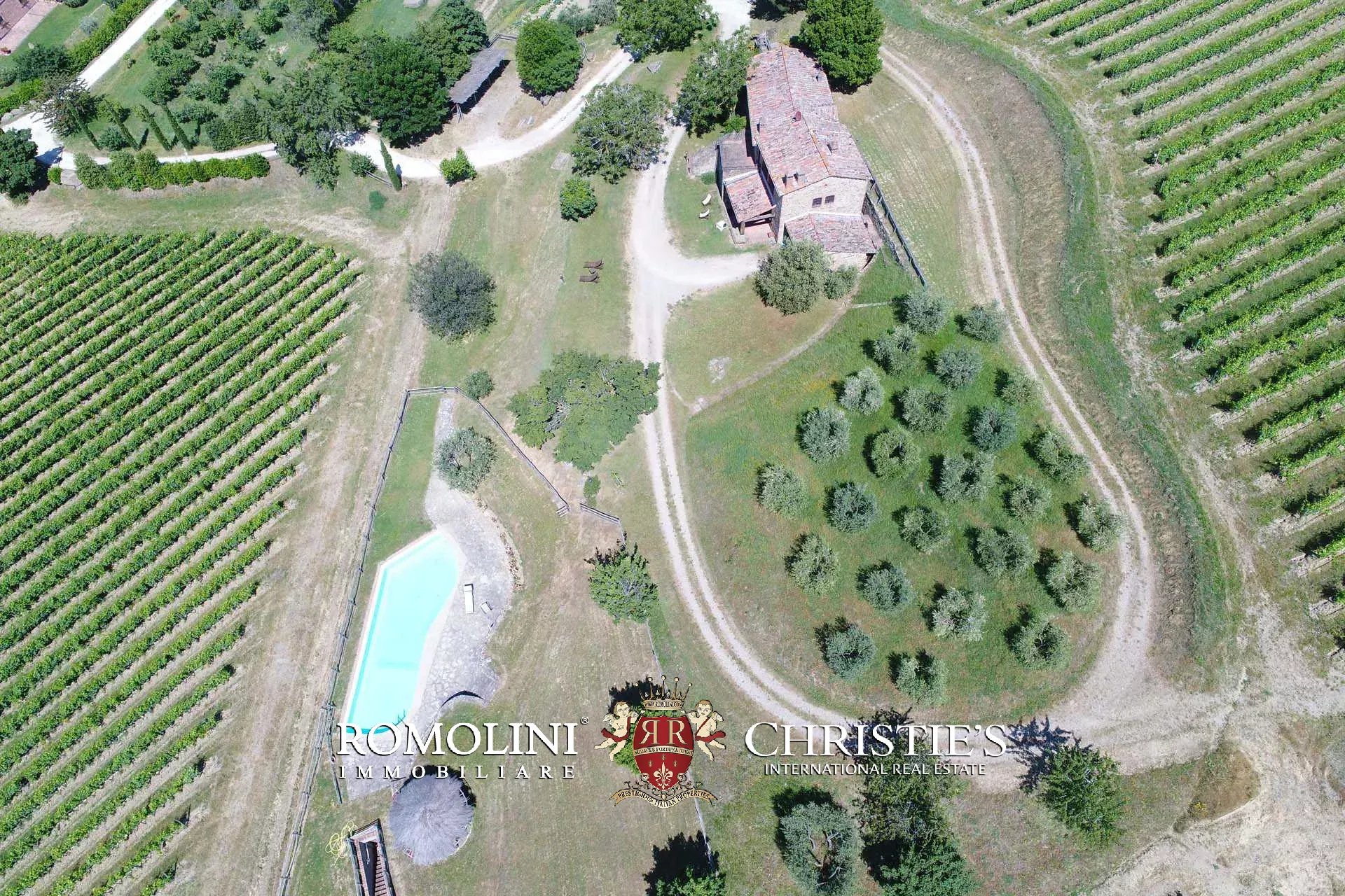 TENUTA VINICOLA BIOLOGICA IN VENDITA, CANTINA BIO TOSCANA