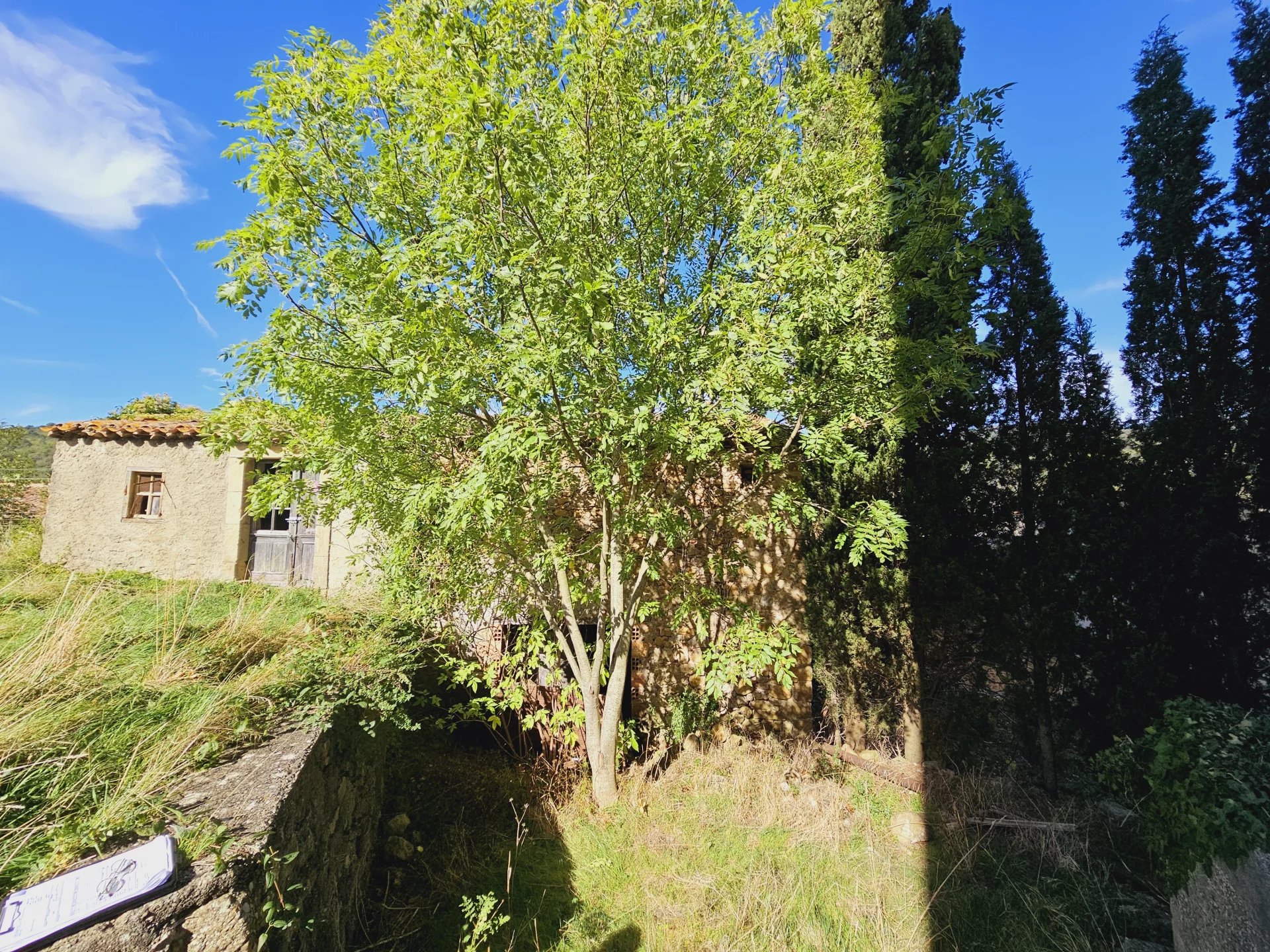 Agence immobilière de Richardson Immobilier