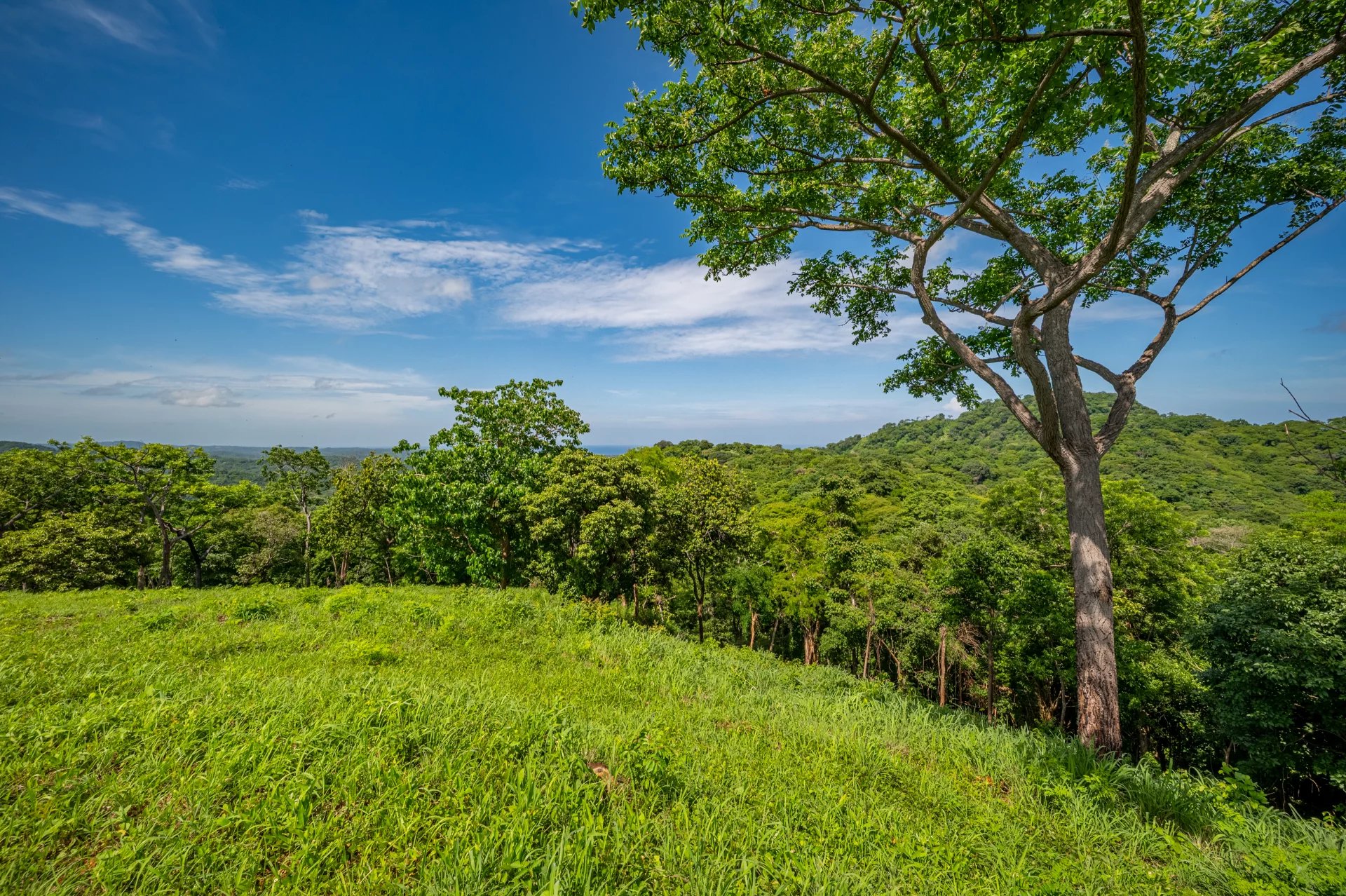 Venta Terreno Santa Cruz
