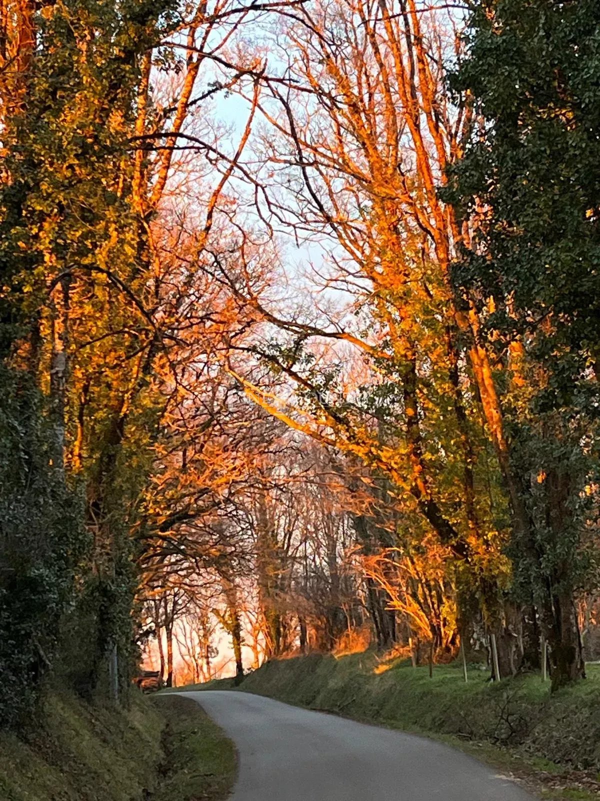 Photo of House for sale in Charente, near Dordogne