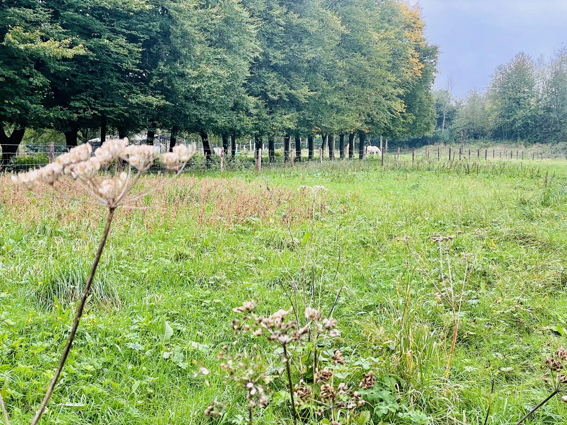 Terrain à bâtir