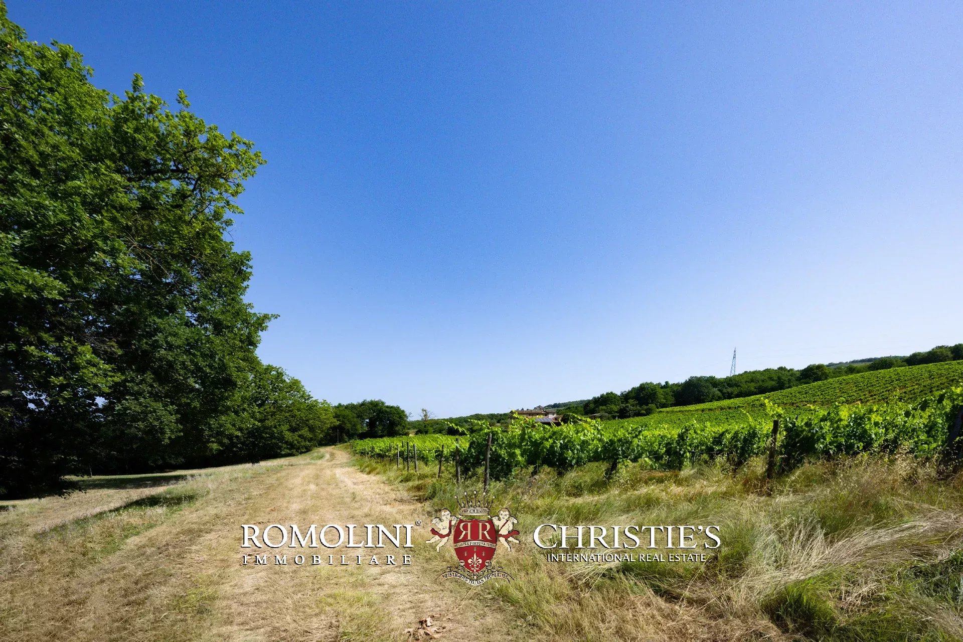 3 Bedroom Vineyard's Image 33