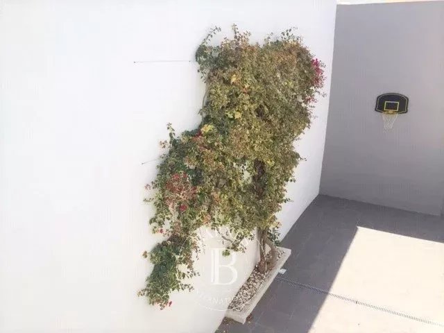 Villa Carcavelos e Parede - picture 19