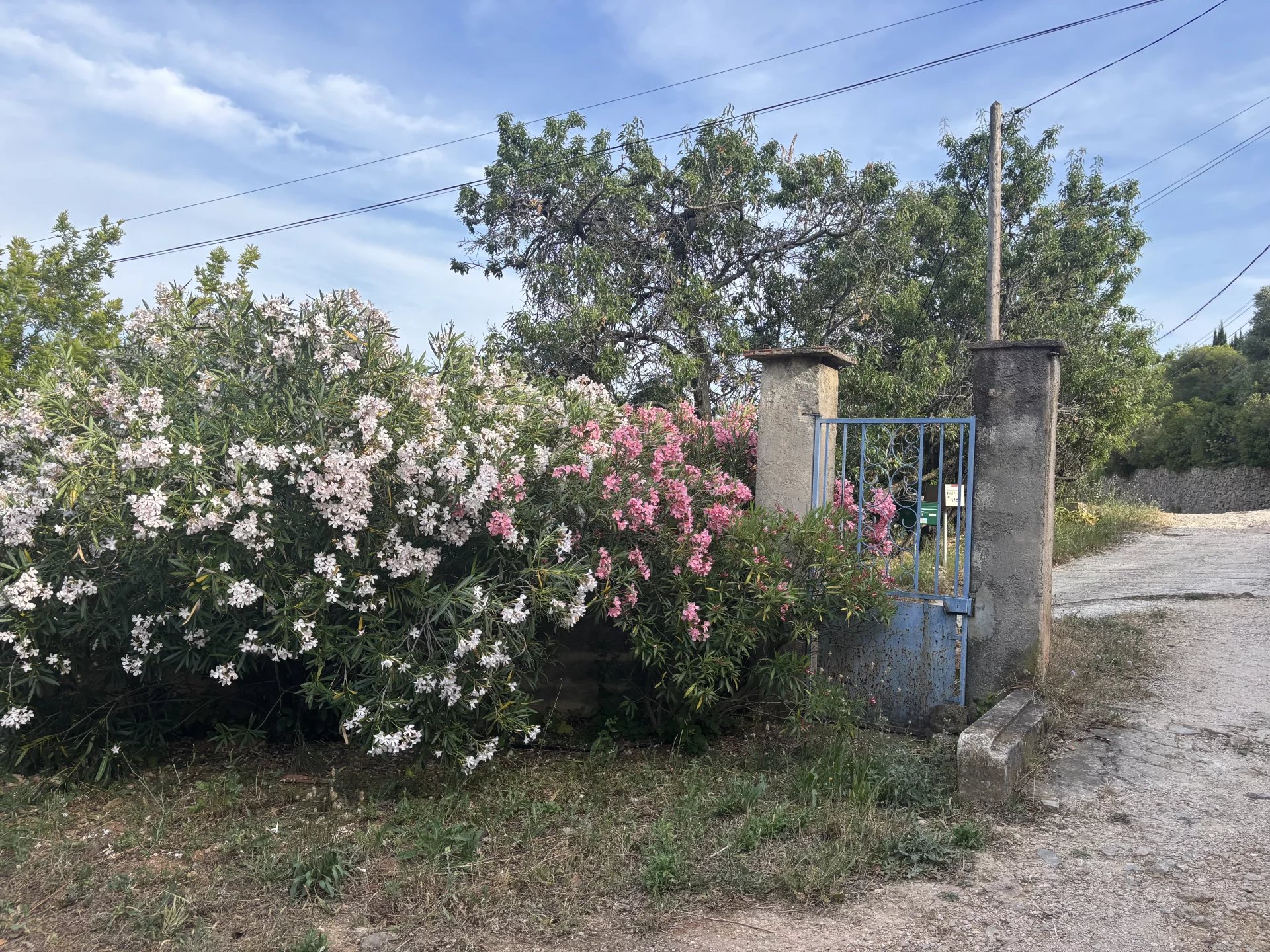 Agence immobilière de AZUR LOC INVEST