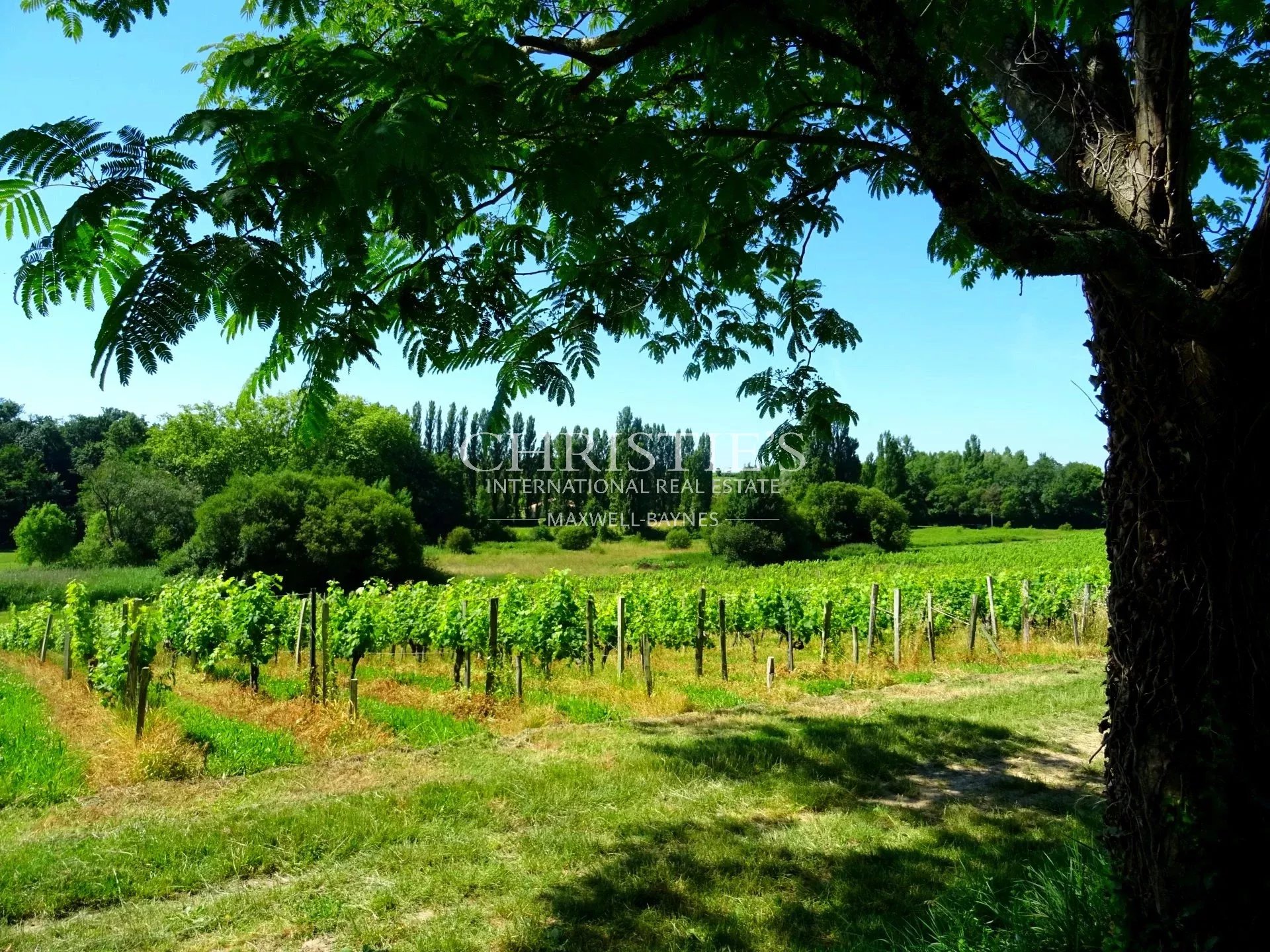 5 Bedroom Vineyard's Image 4