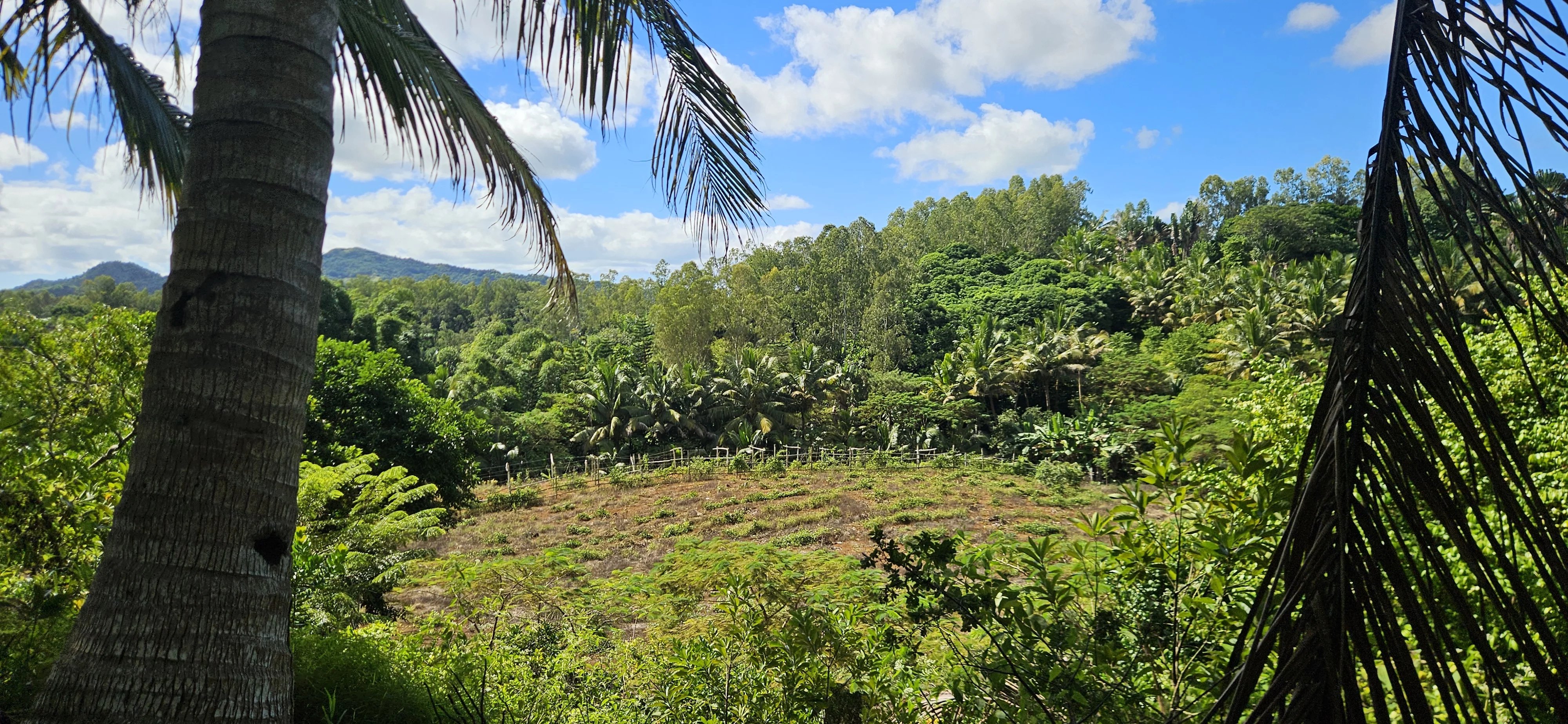 Deux Bras  - Terrain  - picture 13
