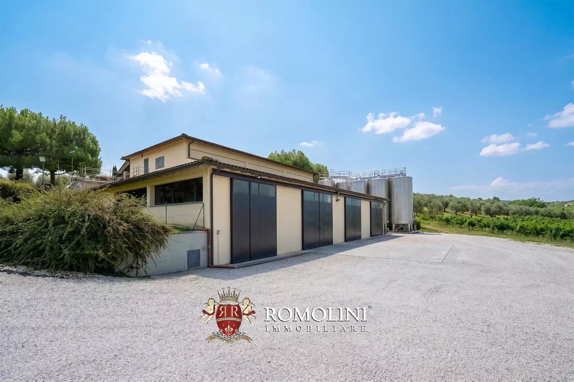 5 Bedroom Vineyard's Image 5