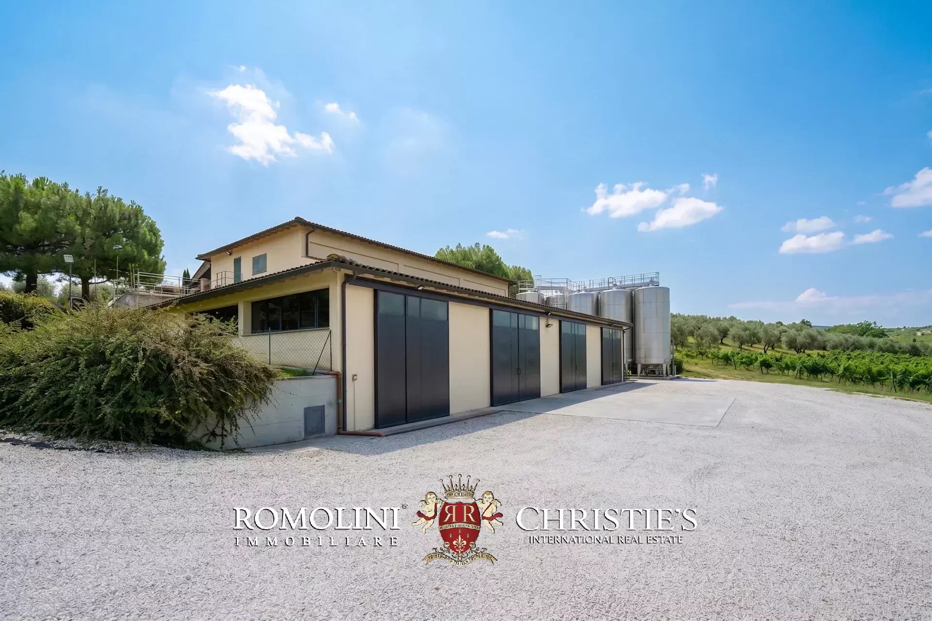 5 Bedroom Vineyard's Image 5