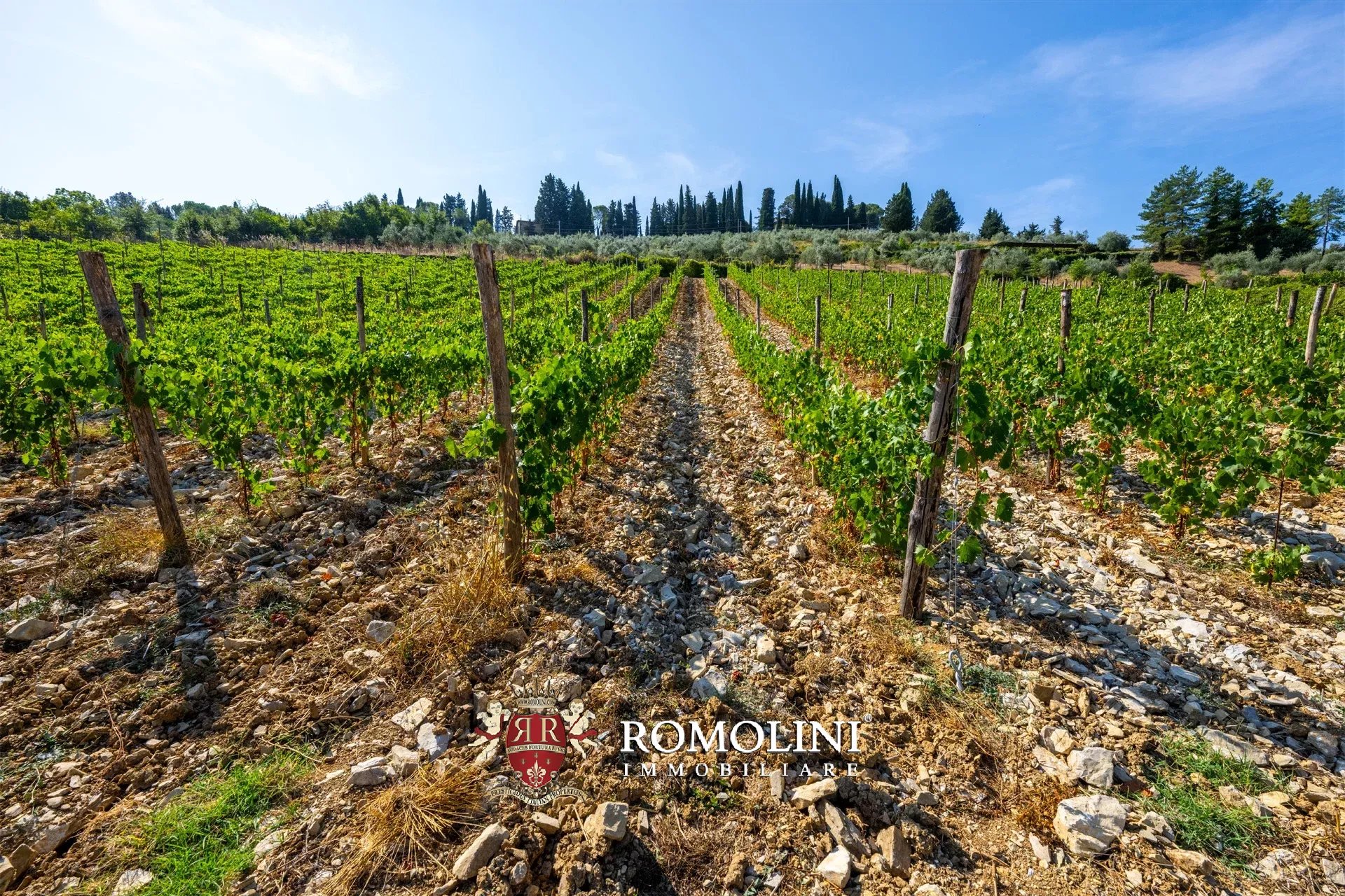 3 Bedroom Vineyard's Image 18
