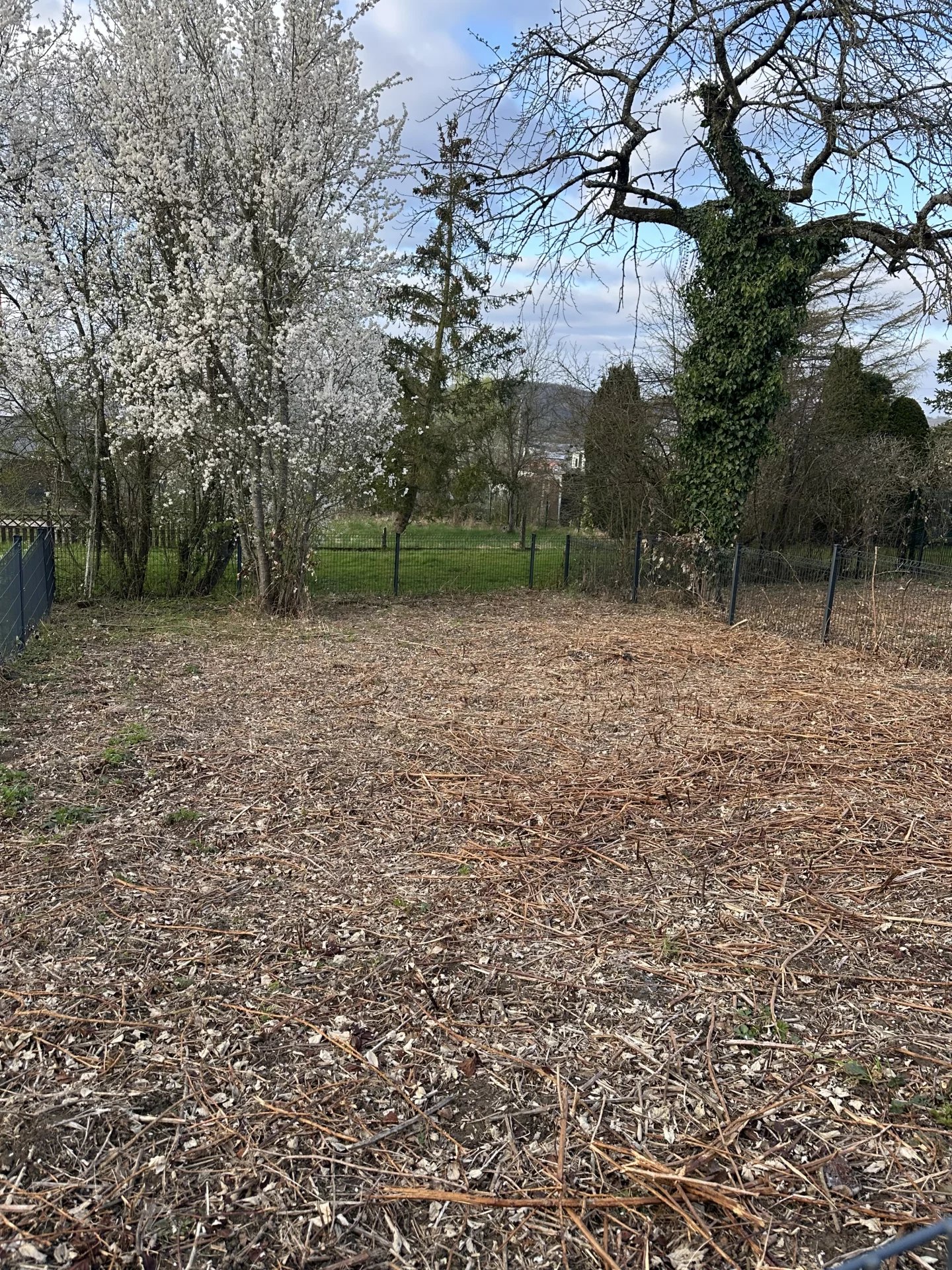 Image 14