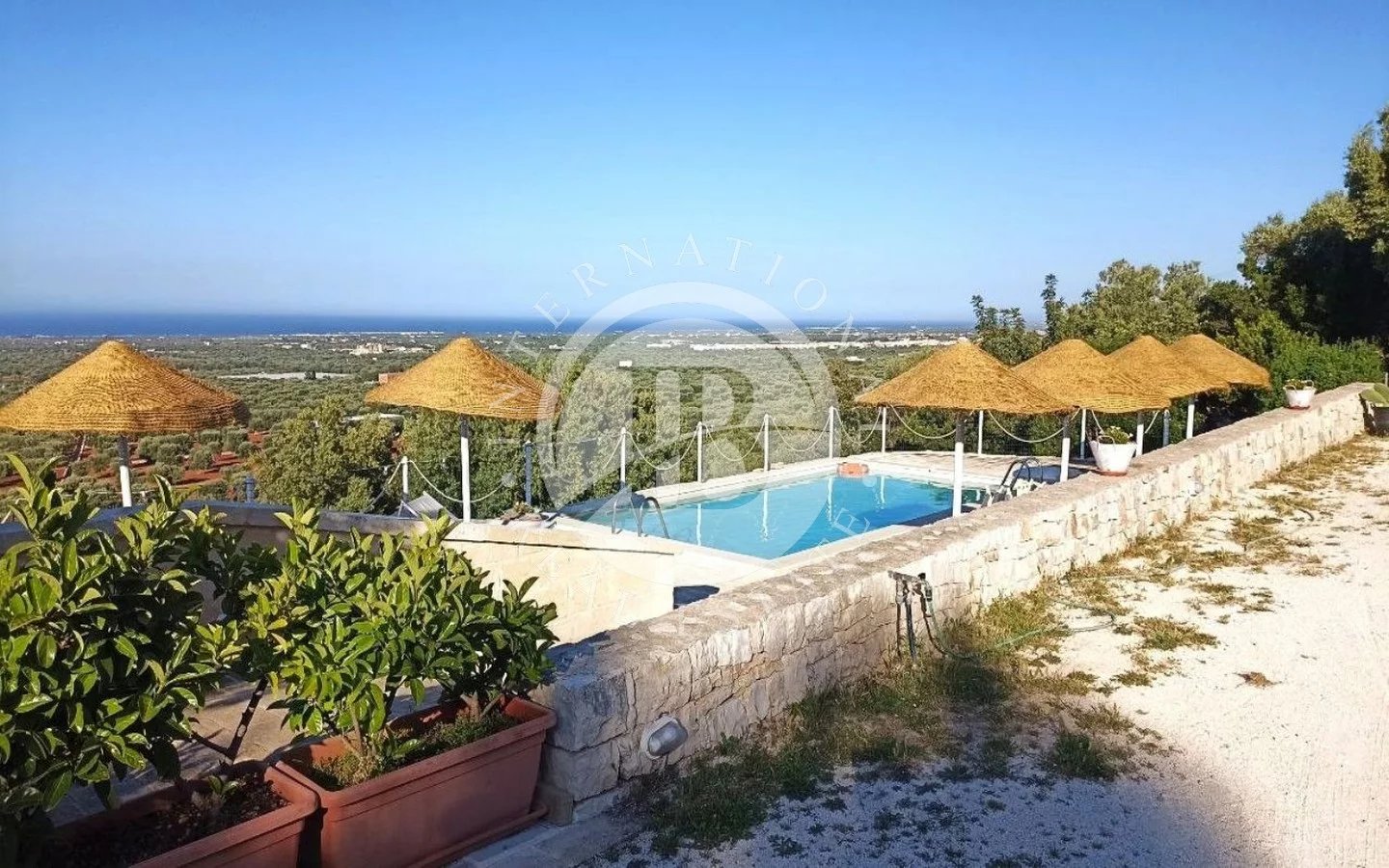 Villa in Monopoli - view 1
