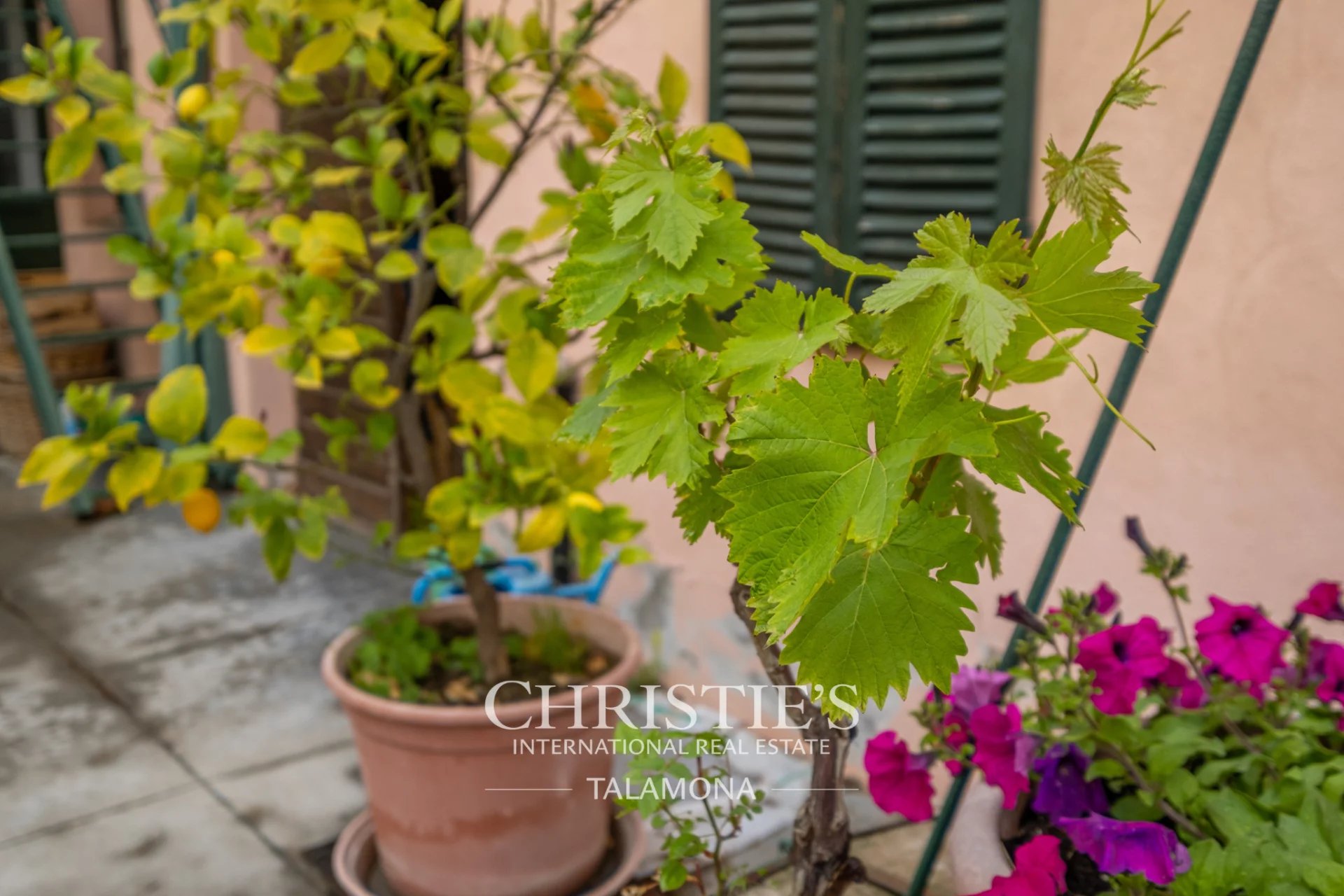 Villa/Townhouse's Image 46
