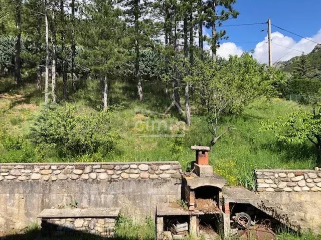 Agence immobilière de Cimm Immobilier Laragne