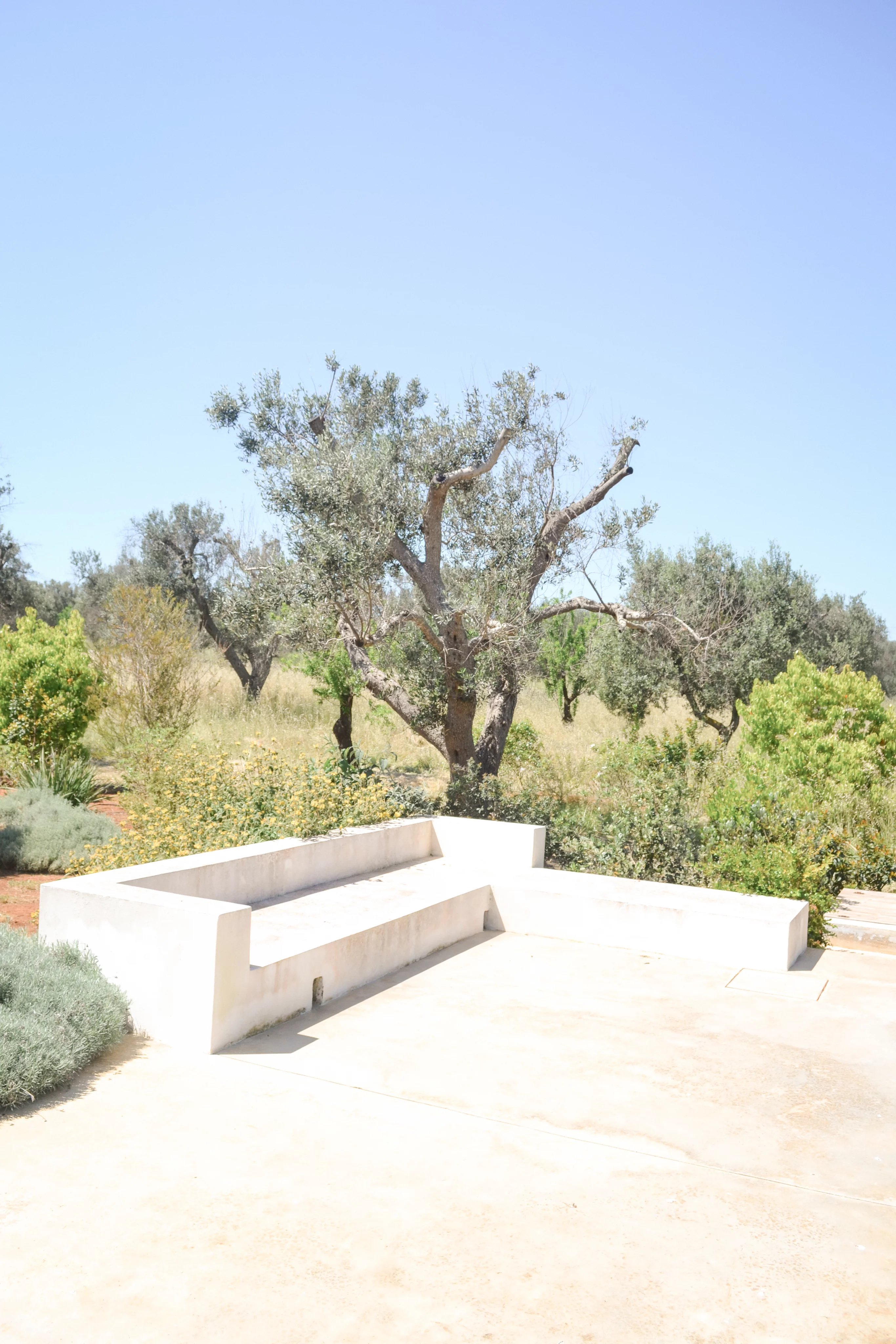 Venta Villa San Vito dei Normanni