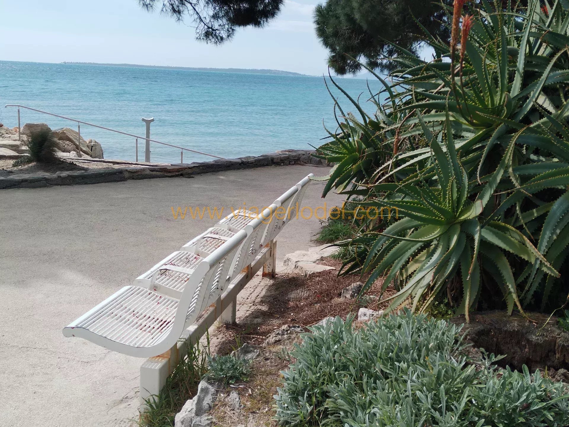 REF 9742 - VIAGER OCCUPE JUAN LES PINS FRONT DE MER