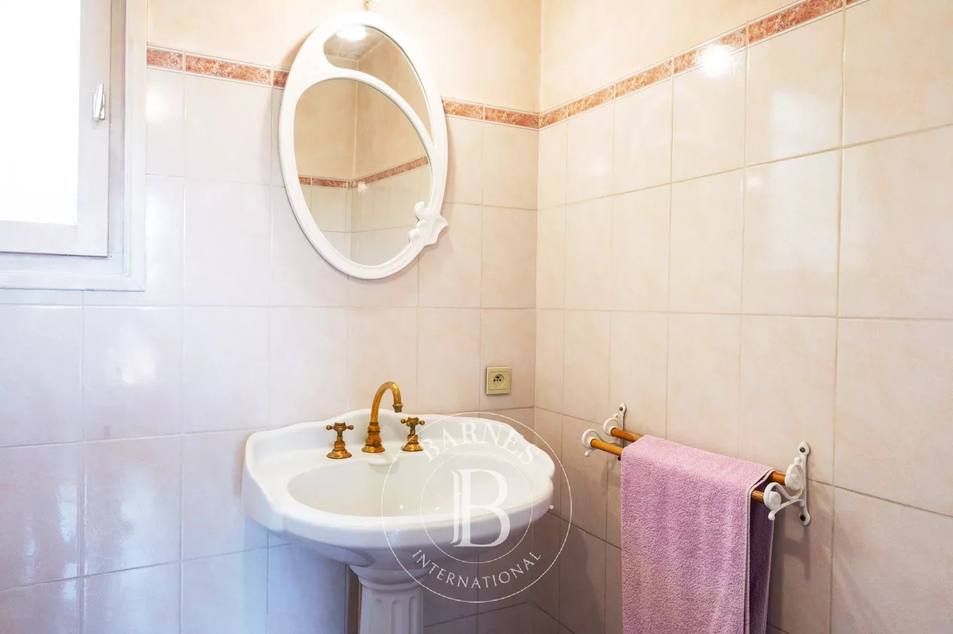 Ev Sainte-Foy-lès-Lyon - picture 9