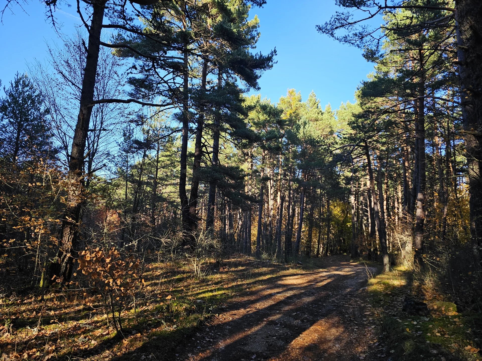 Agence immobilière de MISSIMMOBILIER